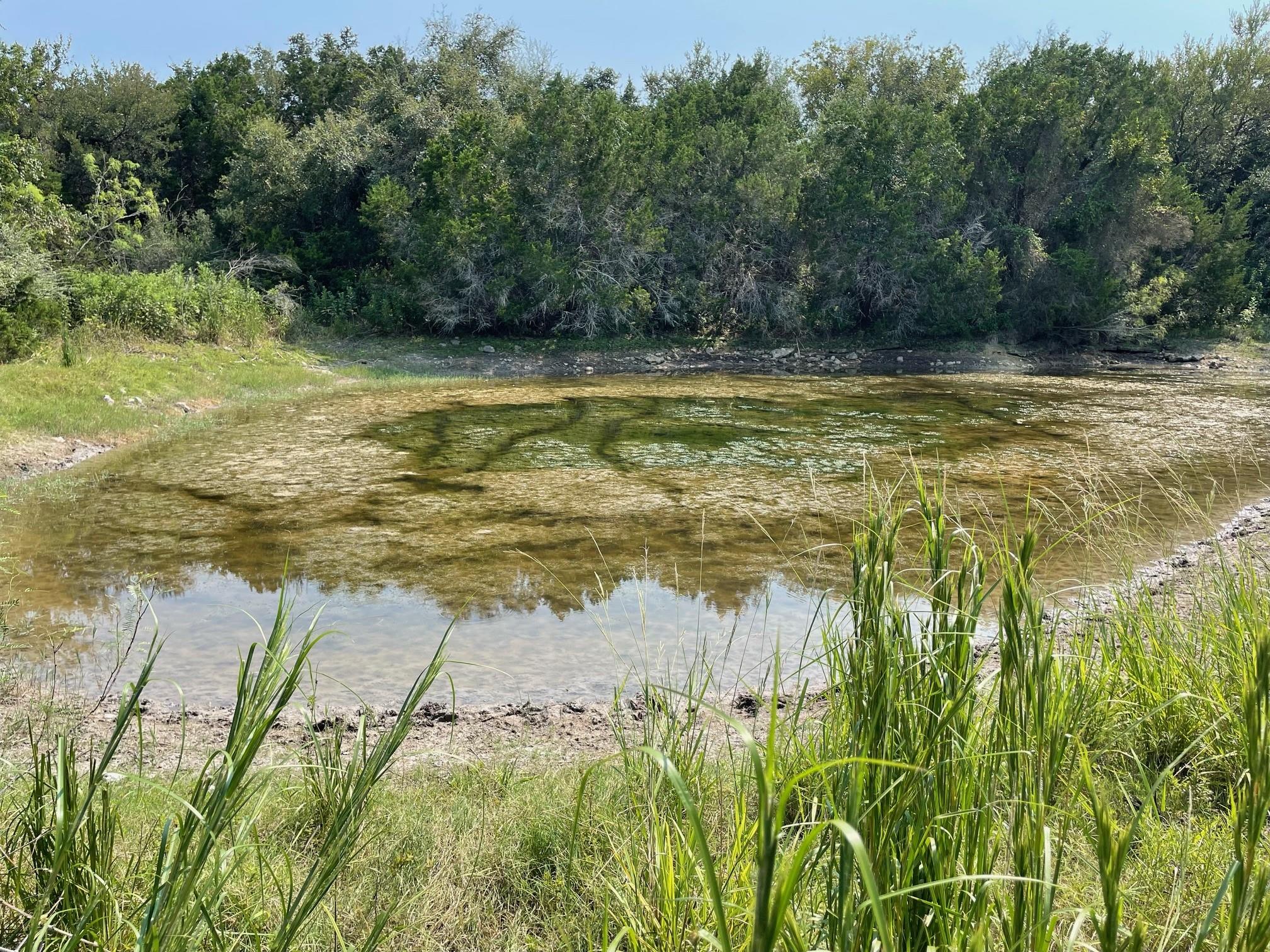 2308 County Road 414