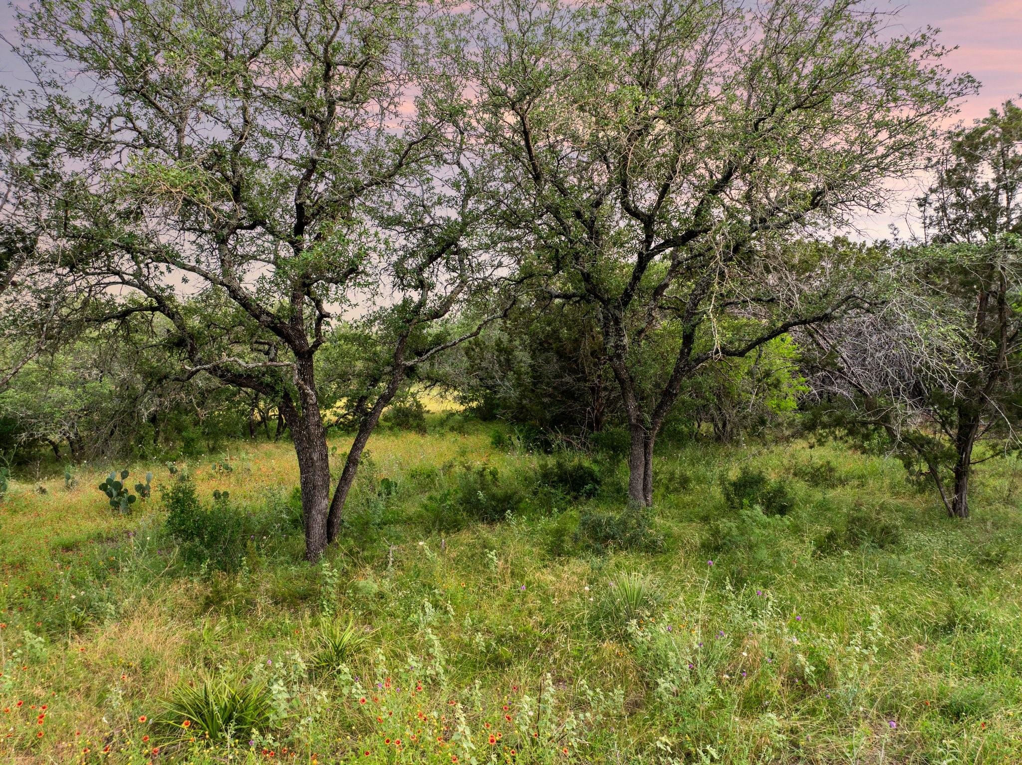 2308 County Road 414
