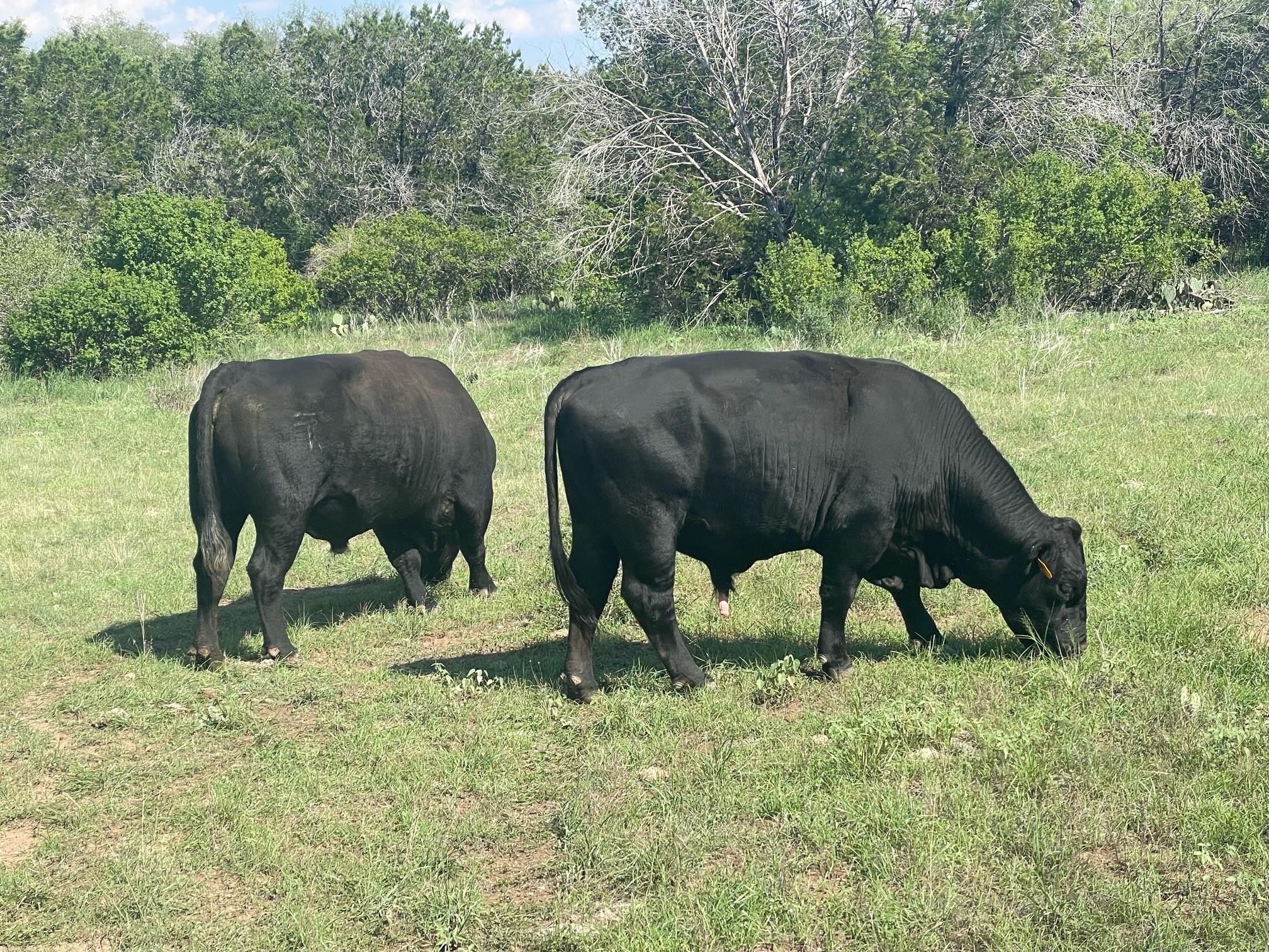 2308 County Road 414