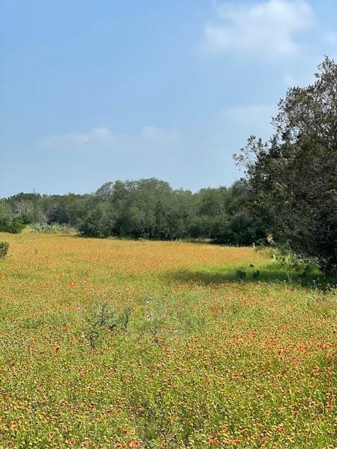 2308 County Road 414