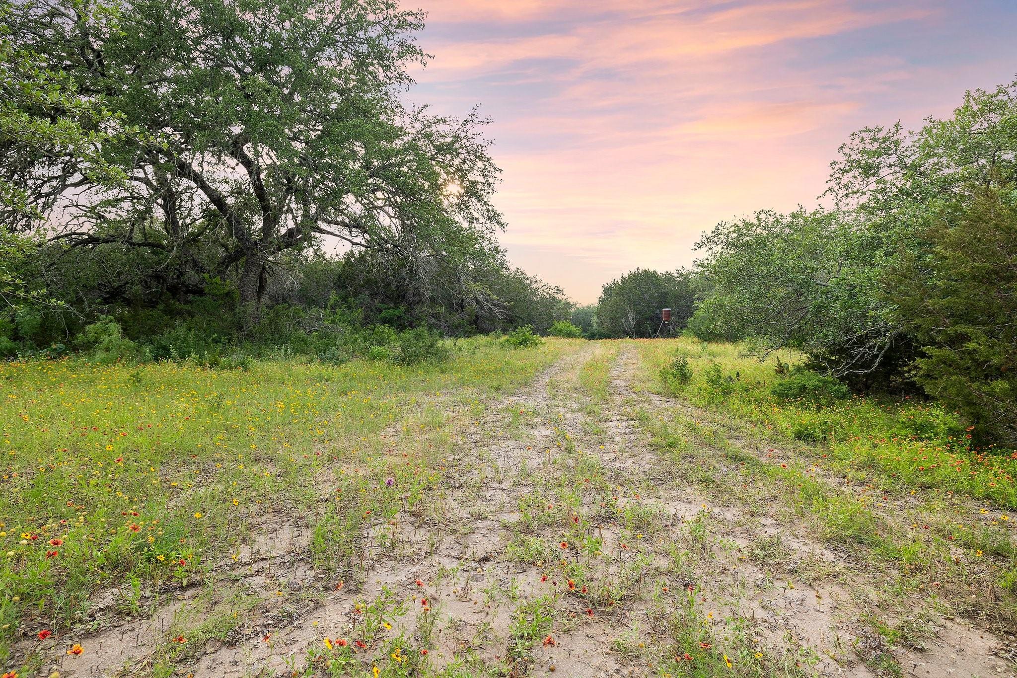 2308 County Road 414
