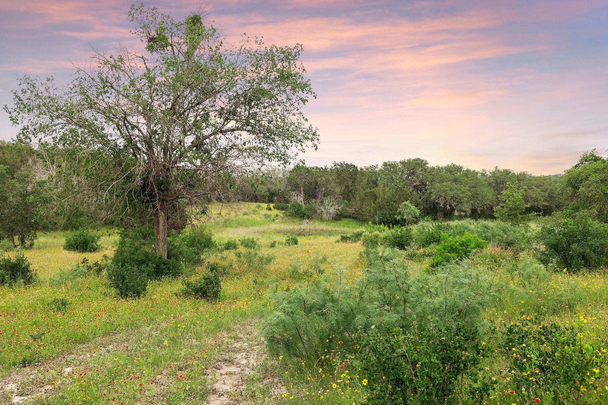 2308 County Road 414