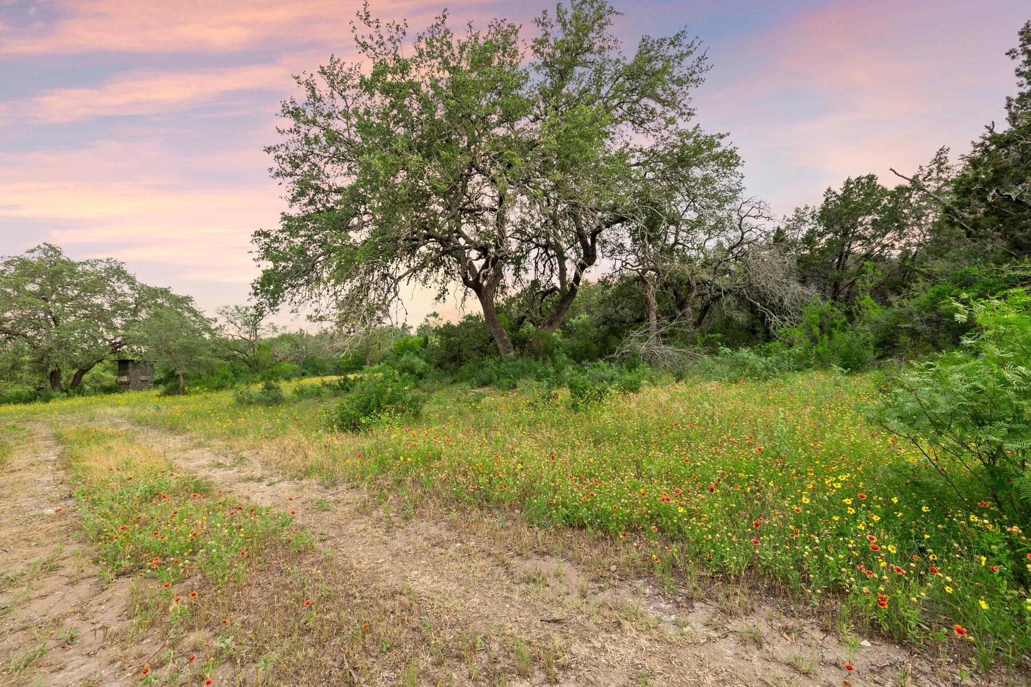 2308 County Road 414