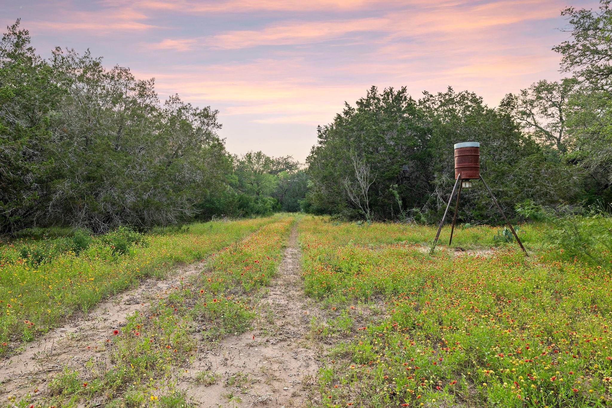 2308 County Road 414