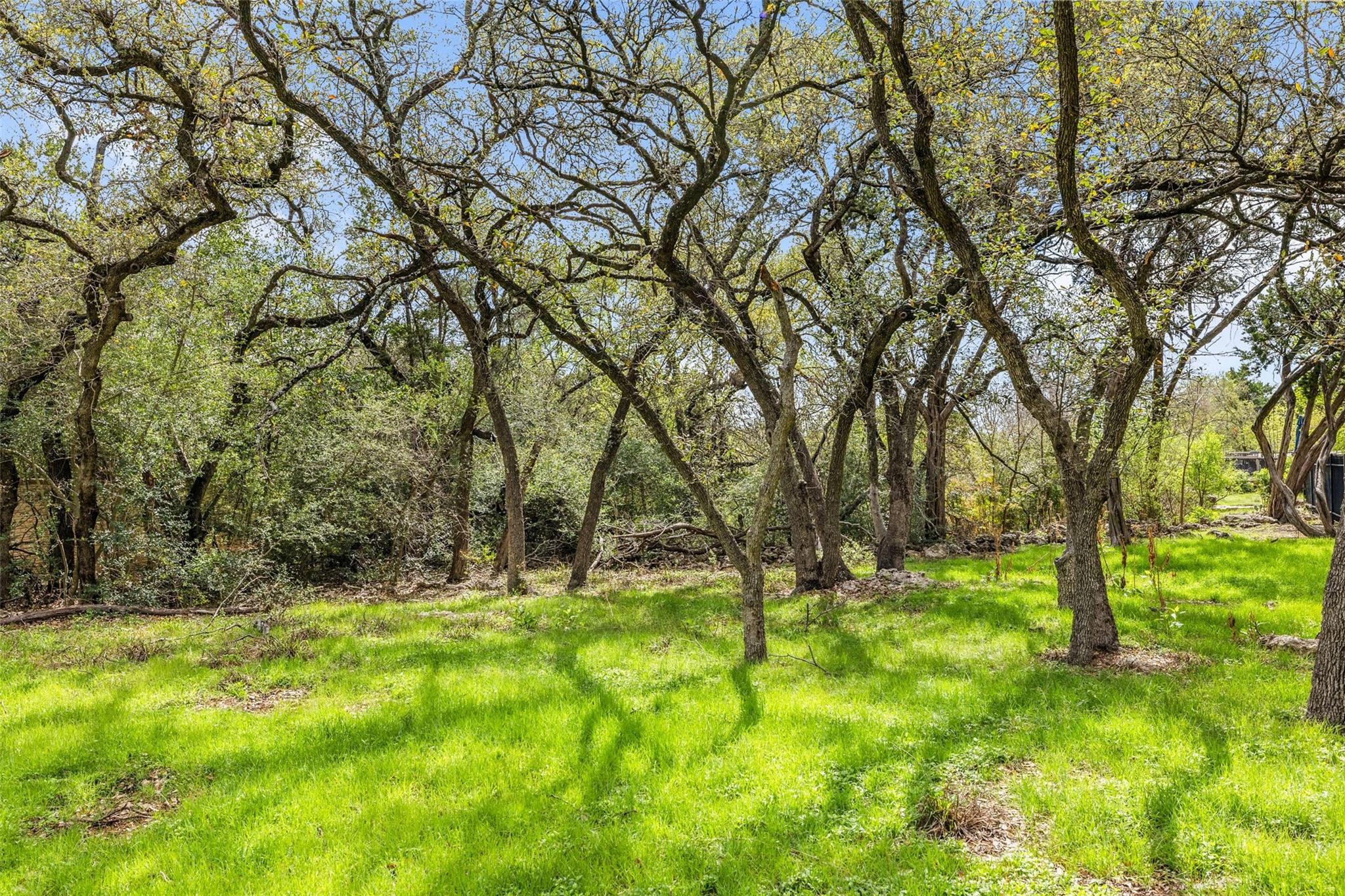 11503 Ladera Vista DR