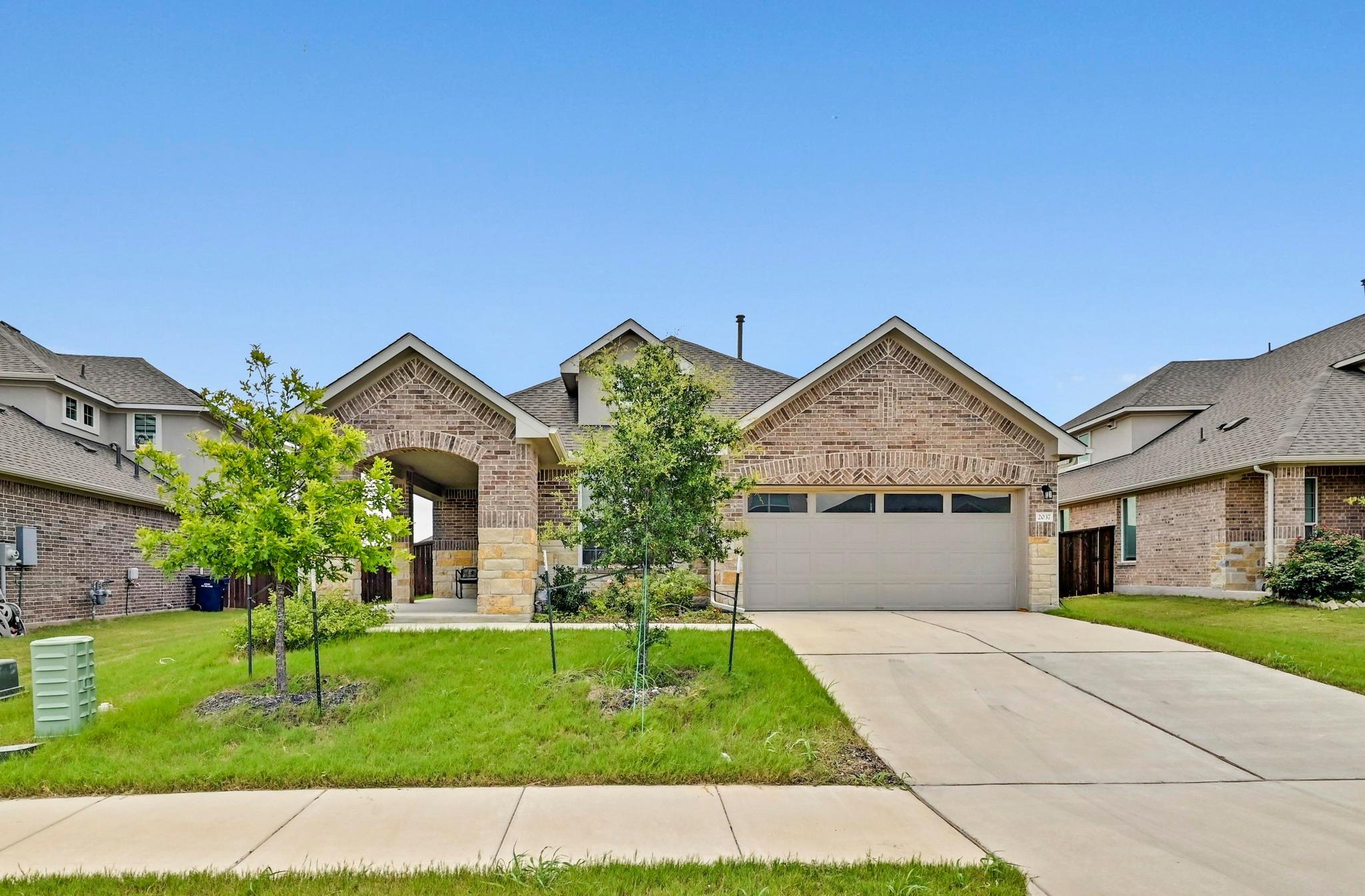 2037 Wilsons Warbler DR