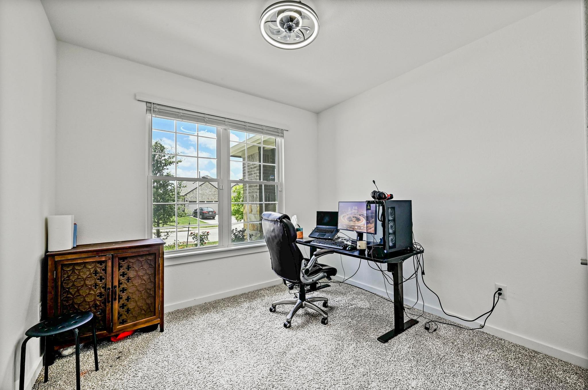 2037 Wilsons Warbler DR