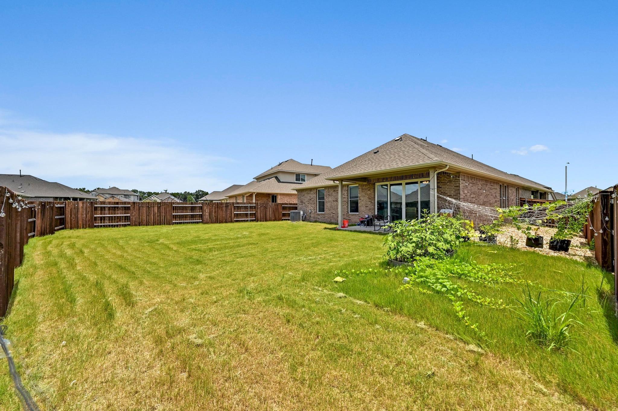 2037 Wilsons Warbler DR