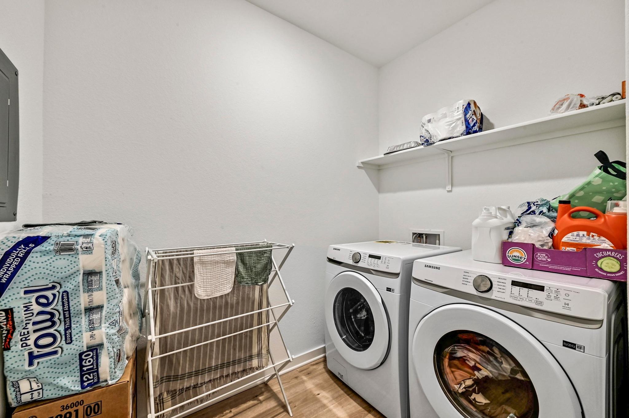 2037 Wilsons Warbler DR