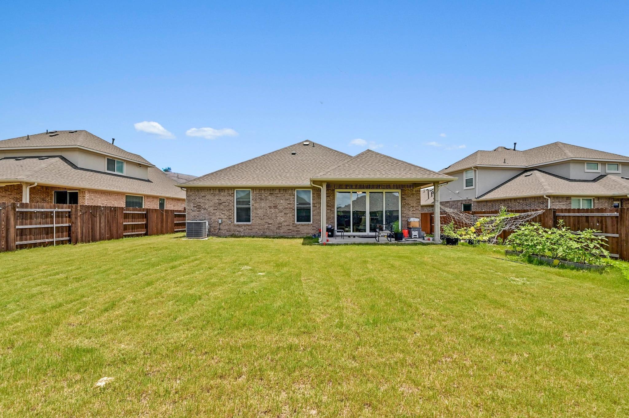 2037 Wilsons Warbler DR