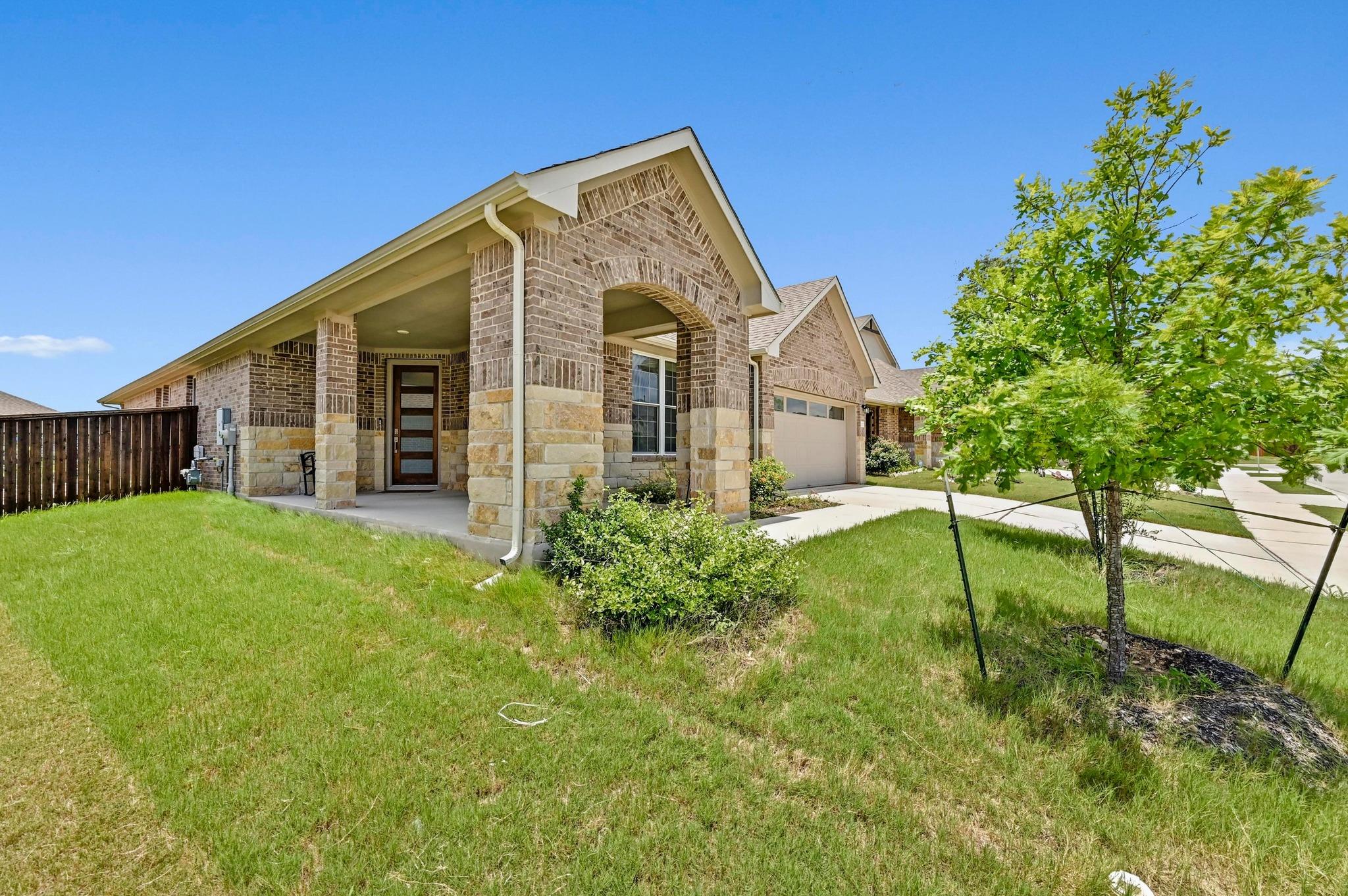 2037 Wilsons Warbler DR