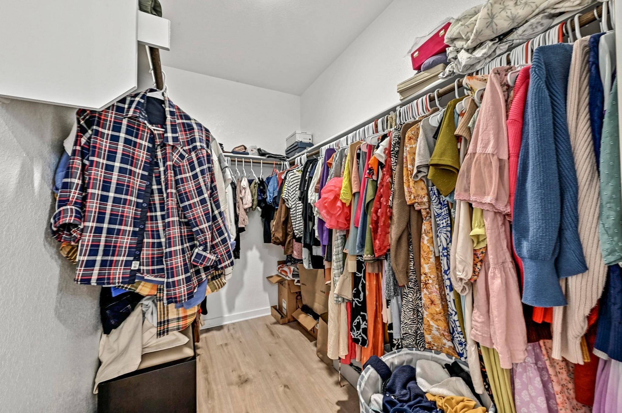 2037 Wilsons Warbler DR