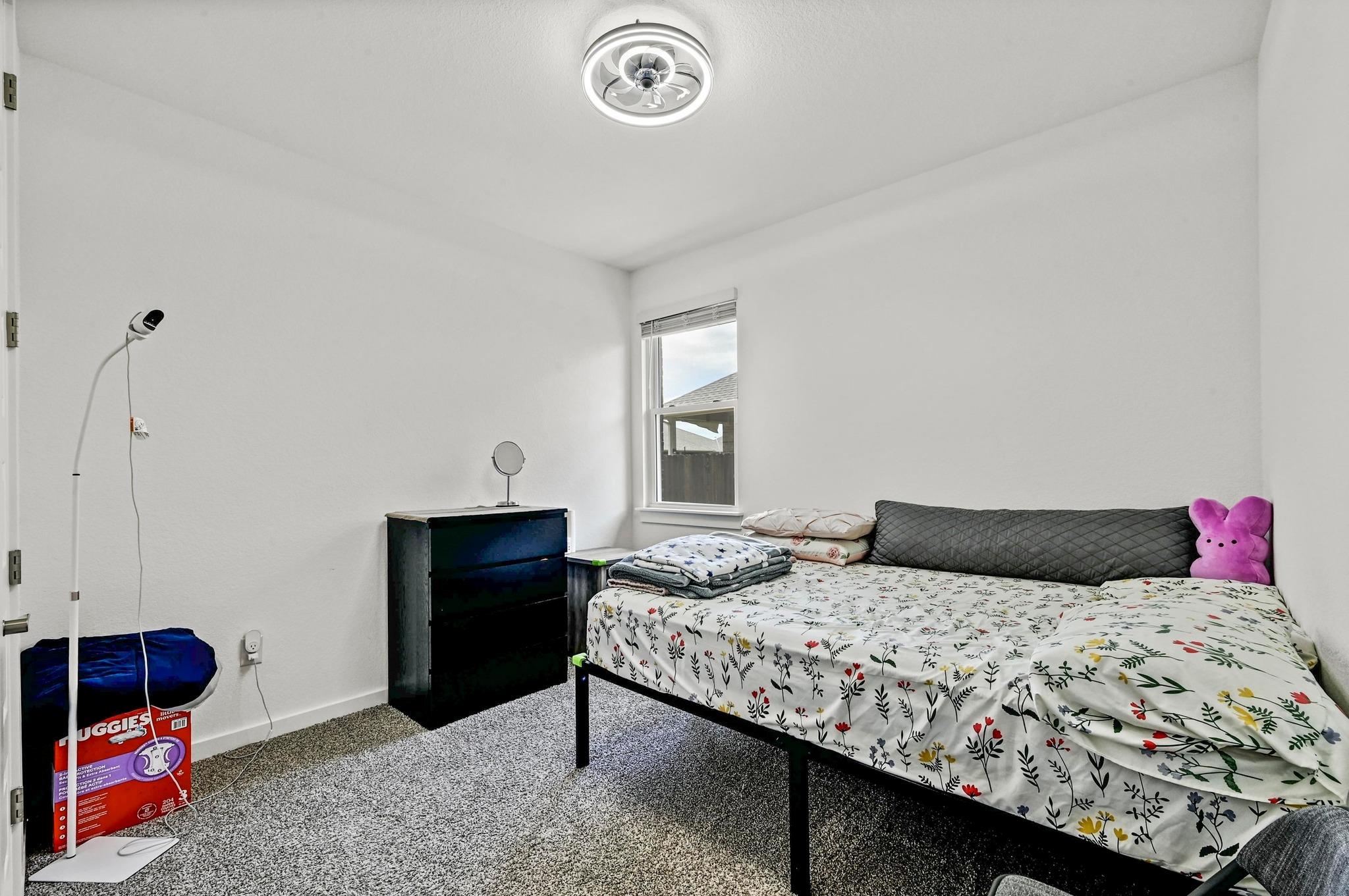 2037 Wilsons Warbler DR