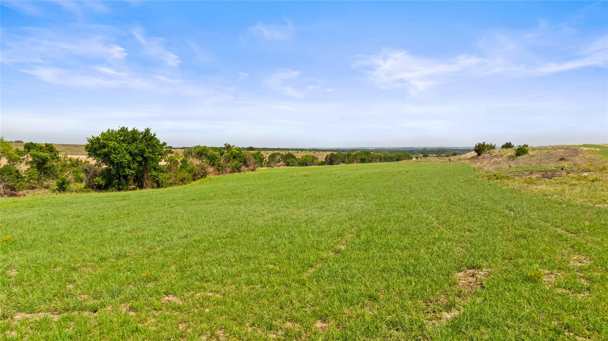 TBD County Road 207
