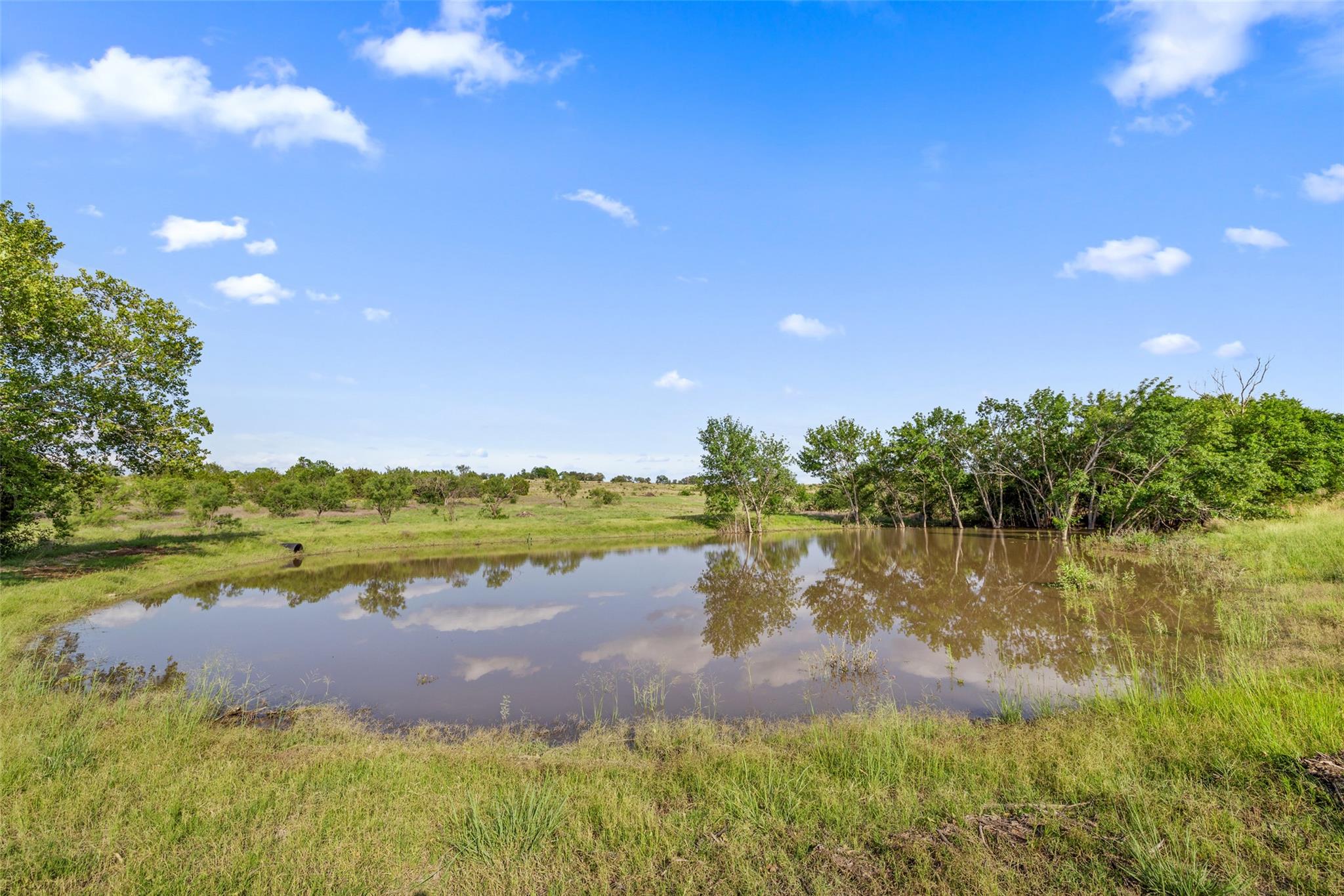 TBD County Road 207