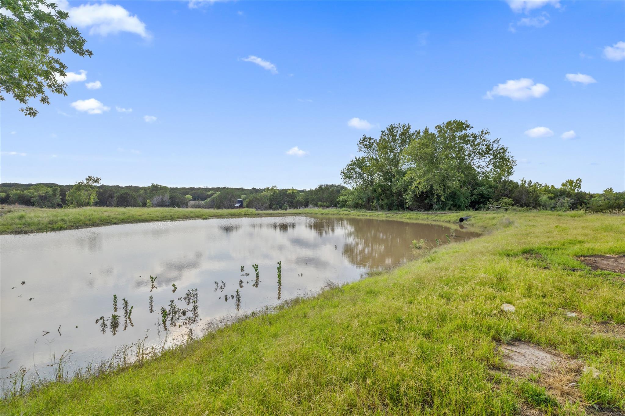 TBD County Road 207