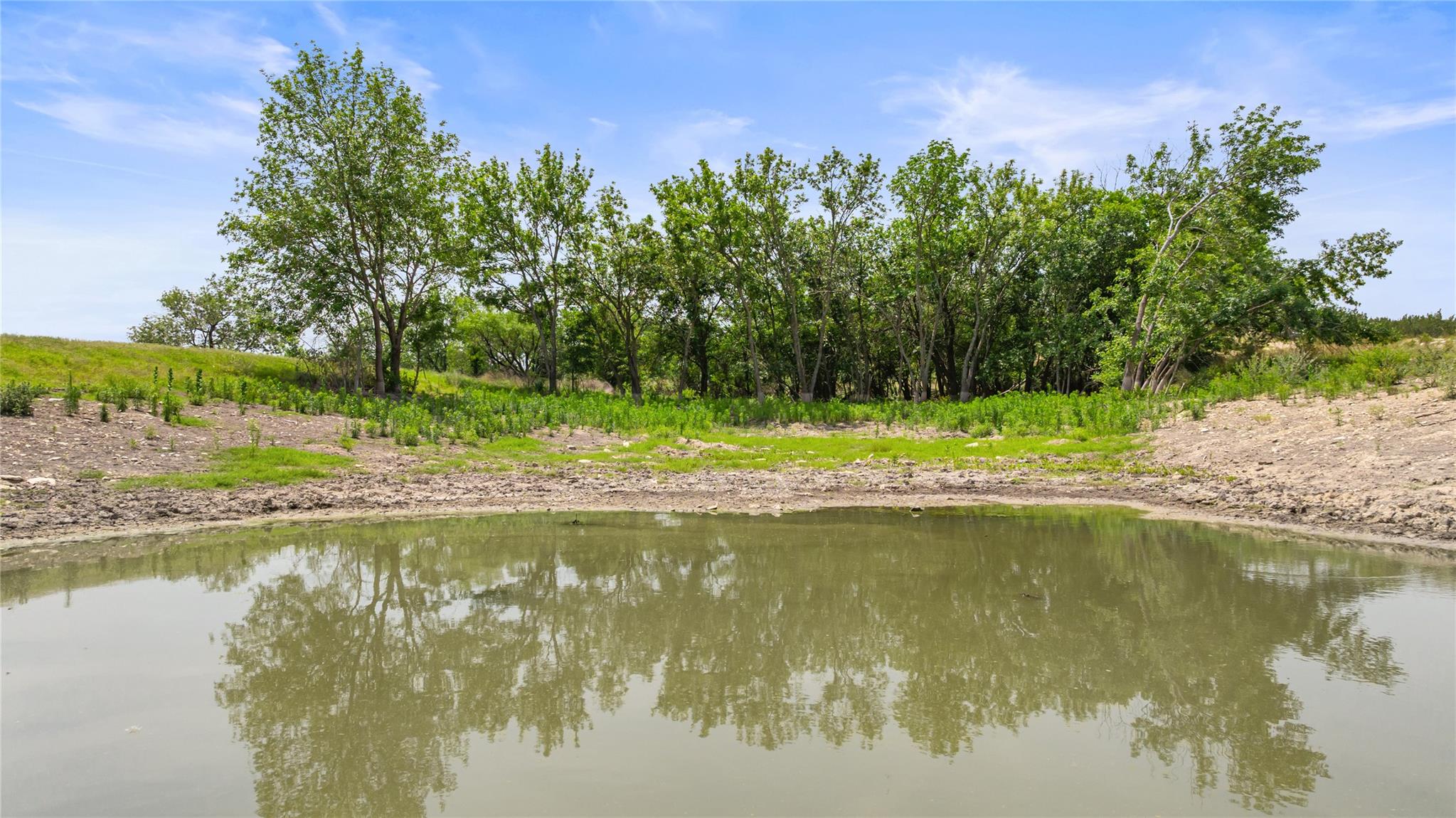 TBD County Road 207