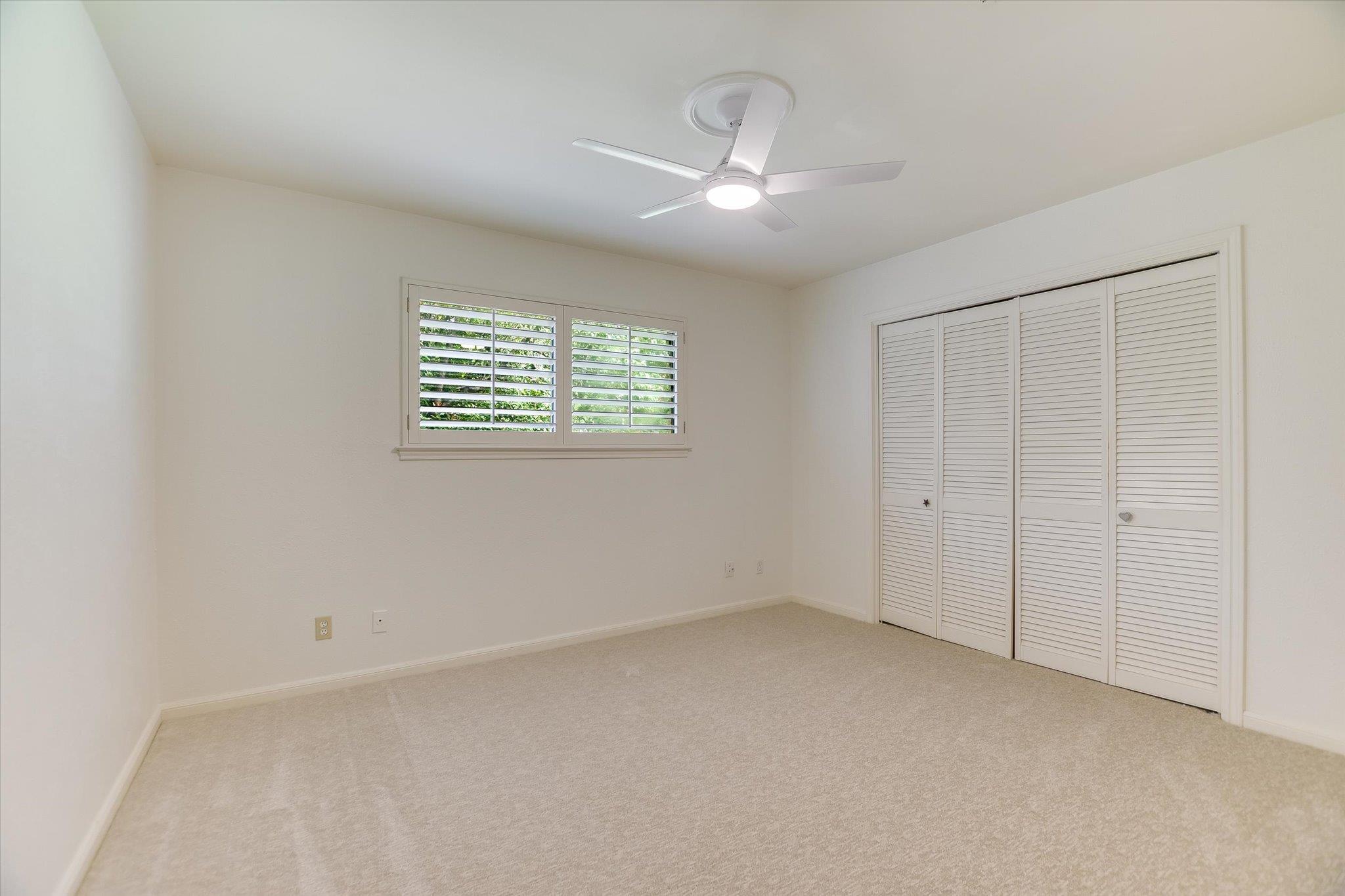 3413 Cactus Wren WAY