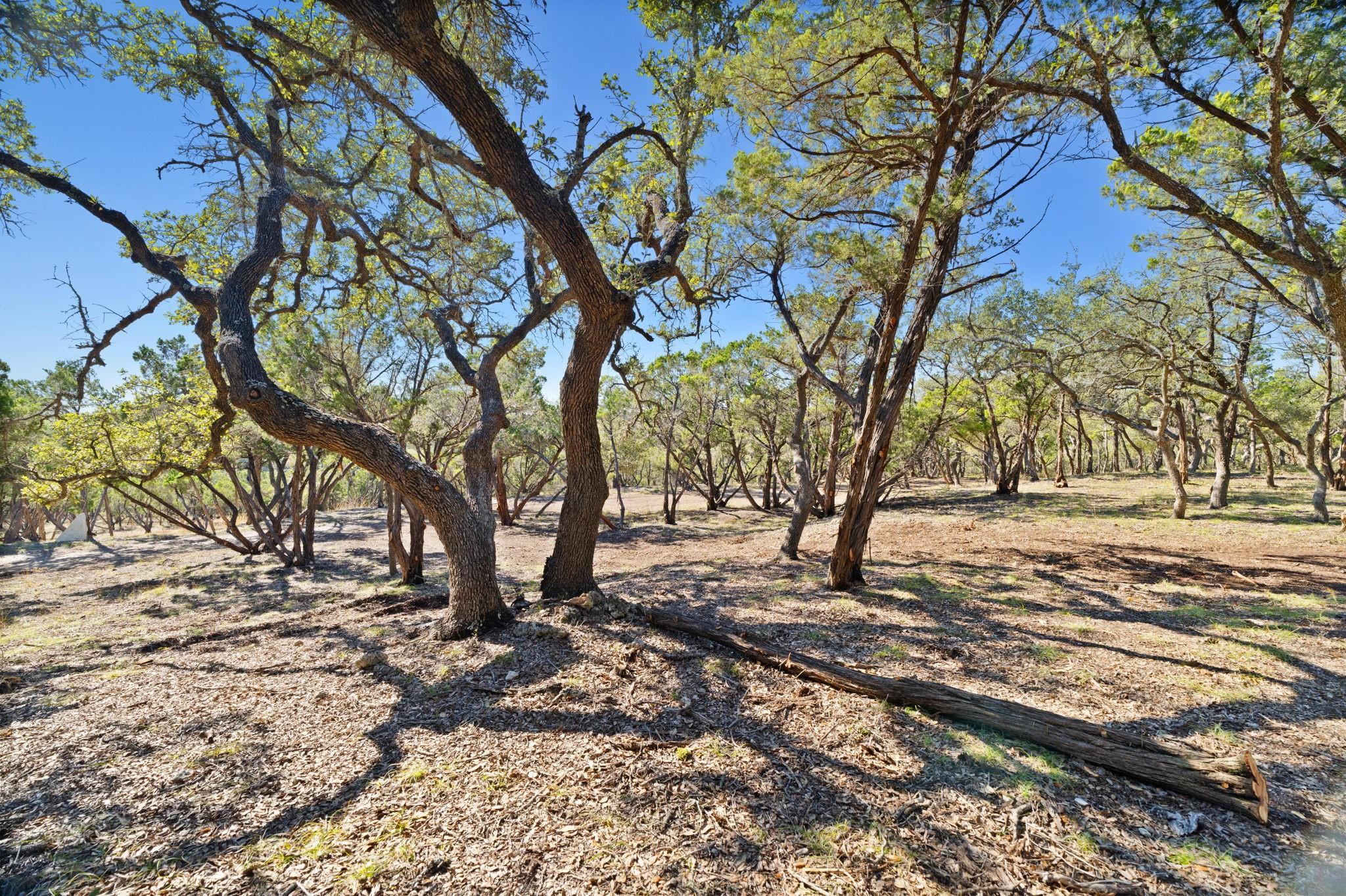 3300 FM 165 - Lot 9