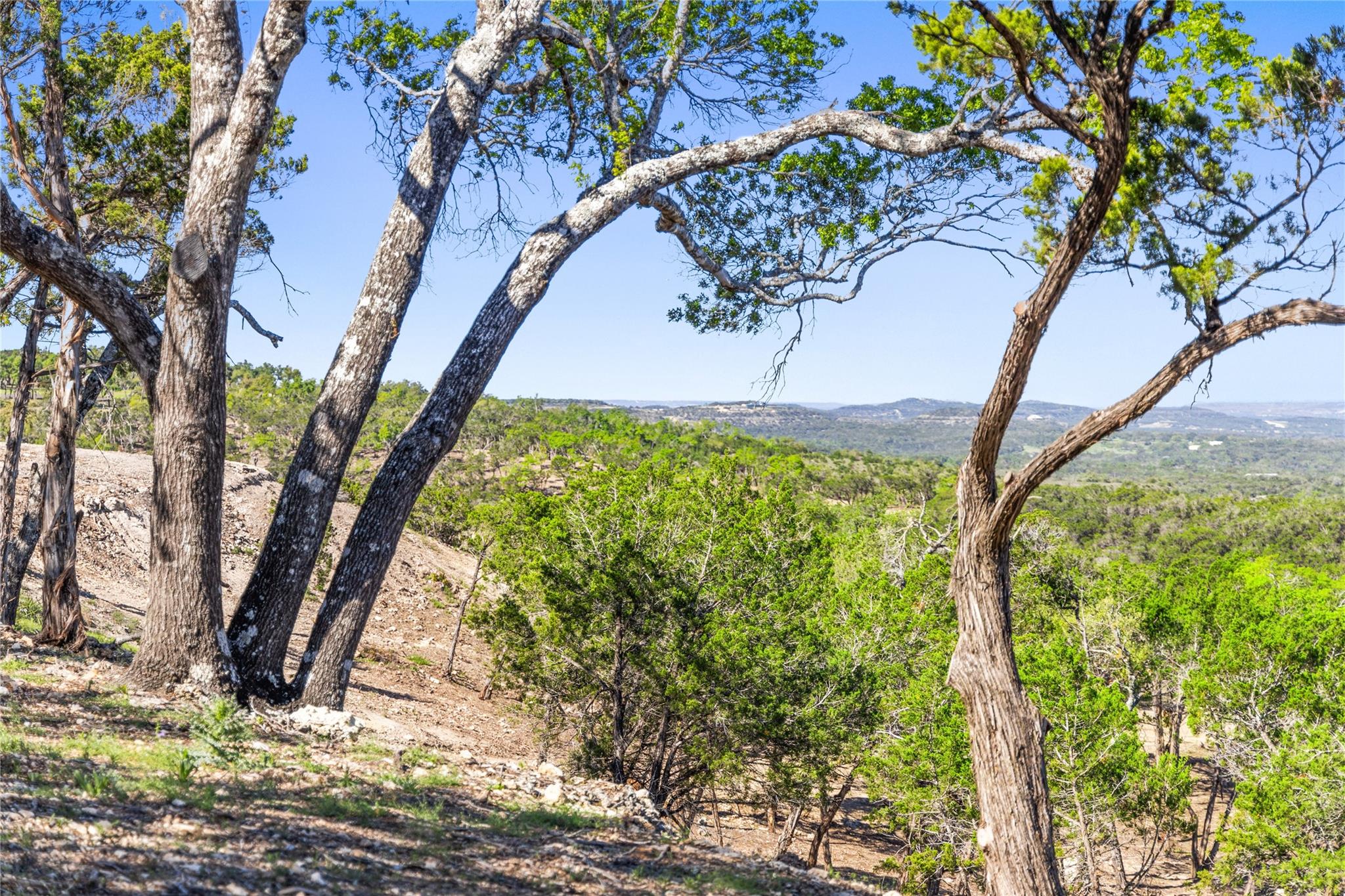 3300 FM 165 - Lot 20