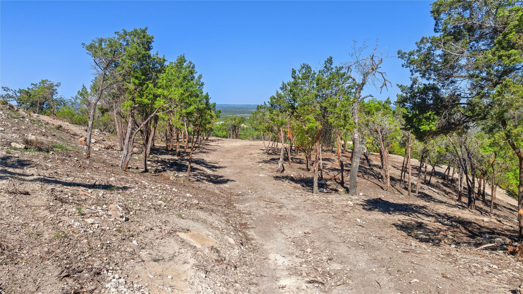 3300 FM 165 - Lot 20