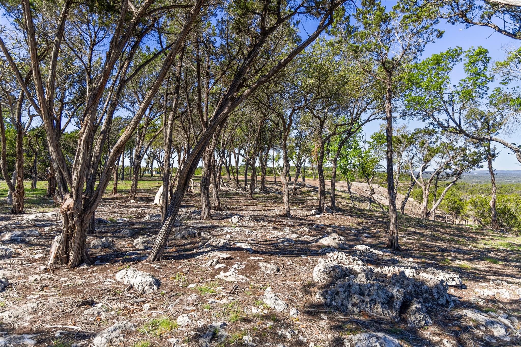 3300 FM 165 - Lot 20