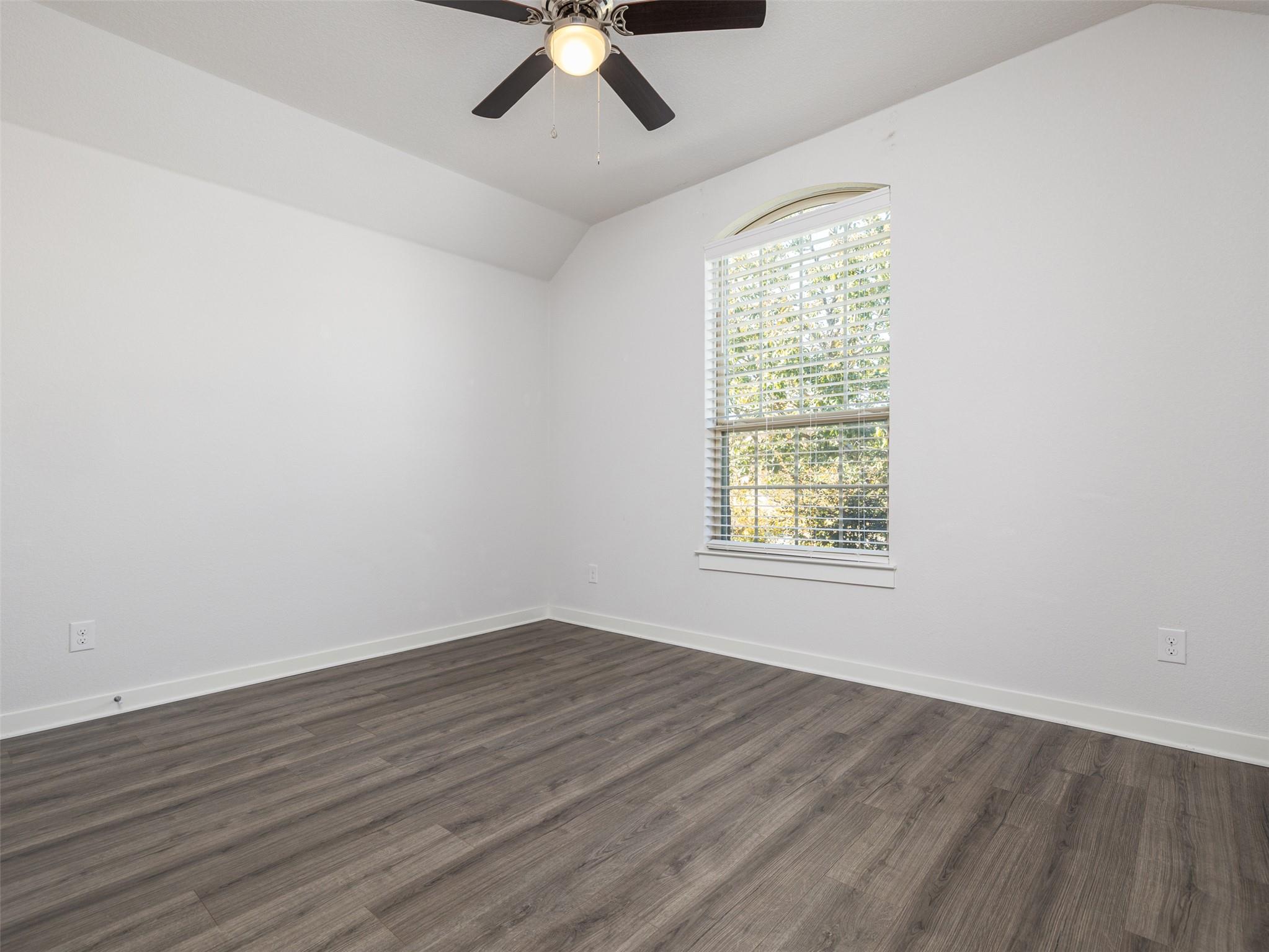6856 Catania LOOP