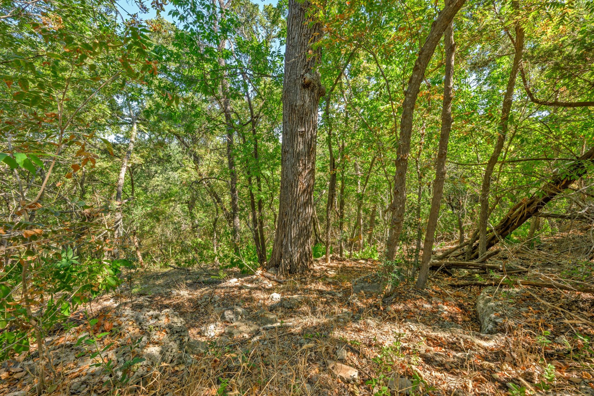 12716 Pauls Valley RD