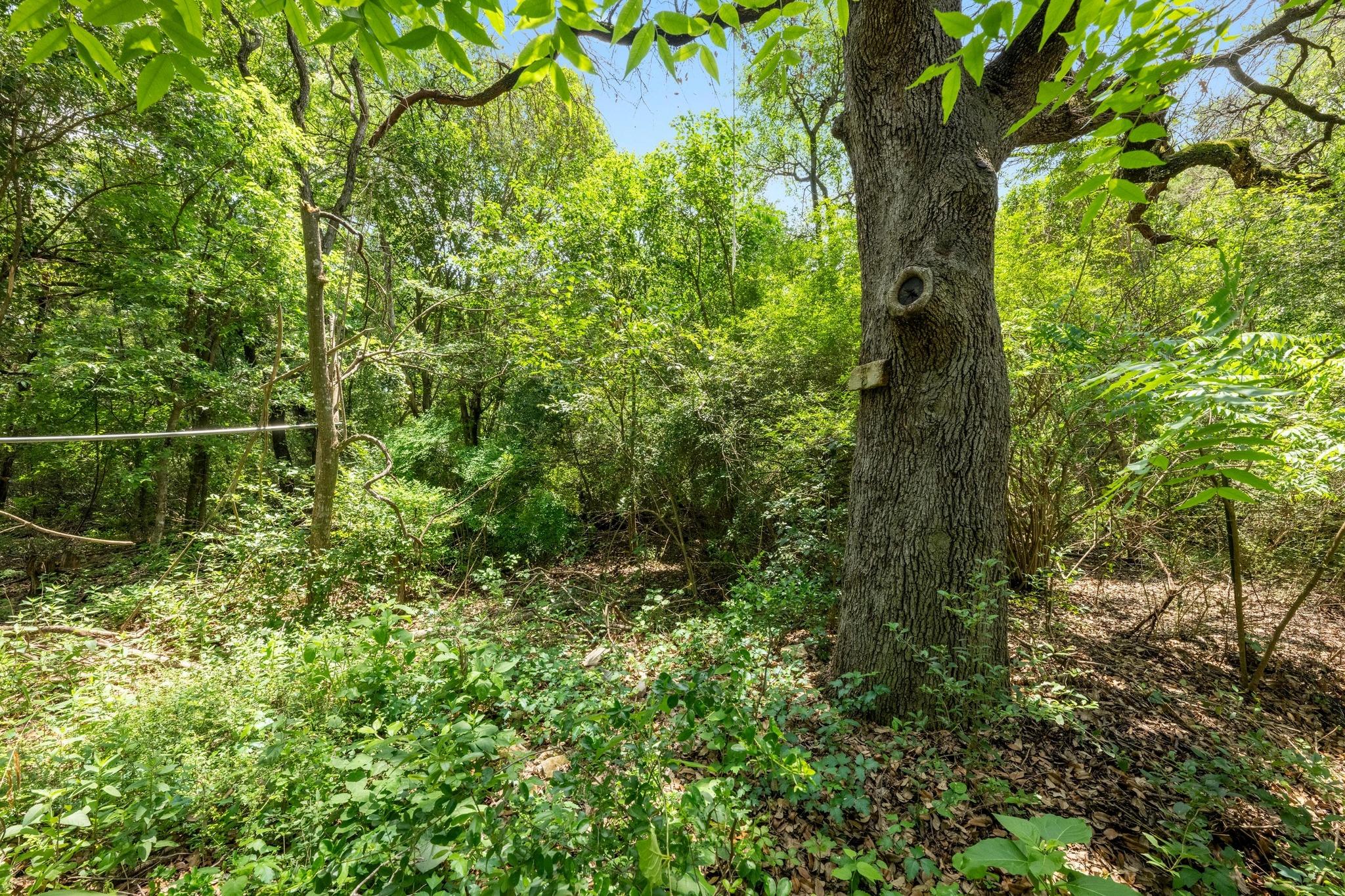 1511 Terrapin CT # B