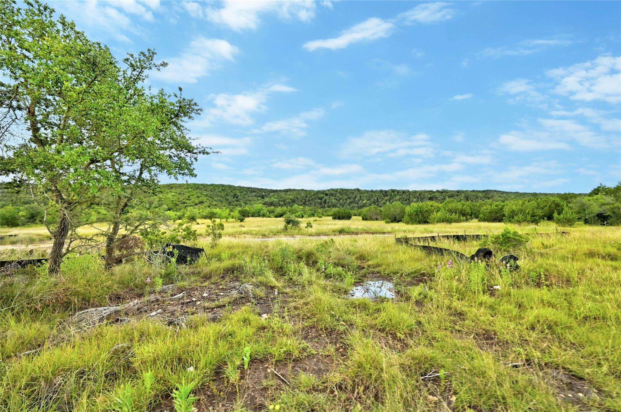 5330 Spring Preserve TRL