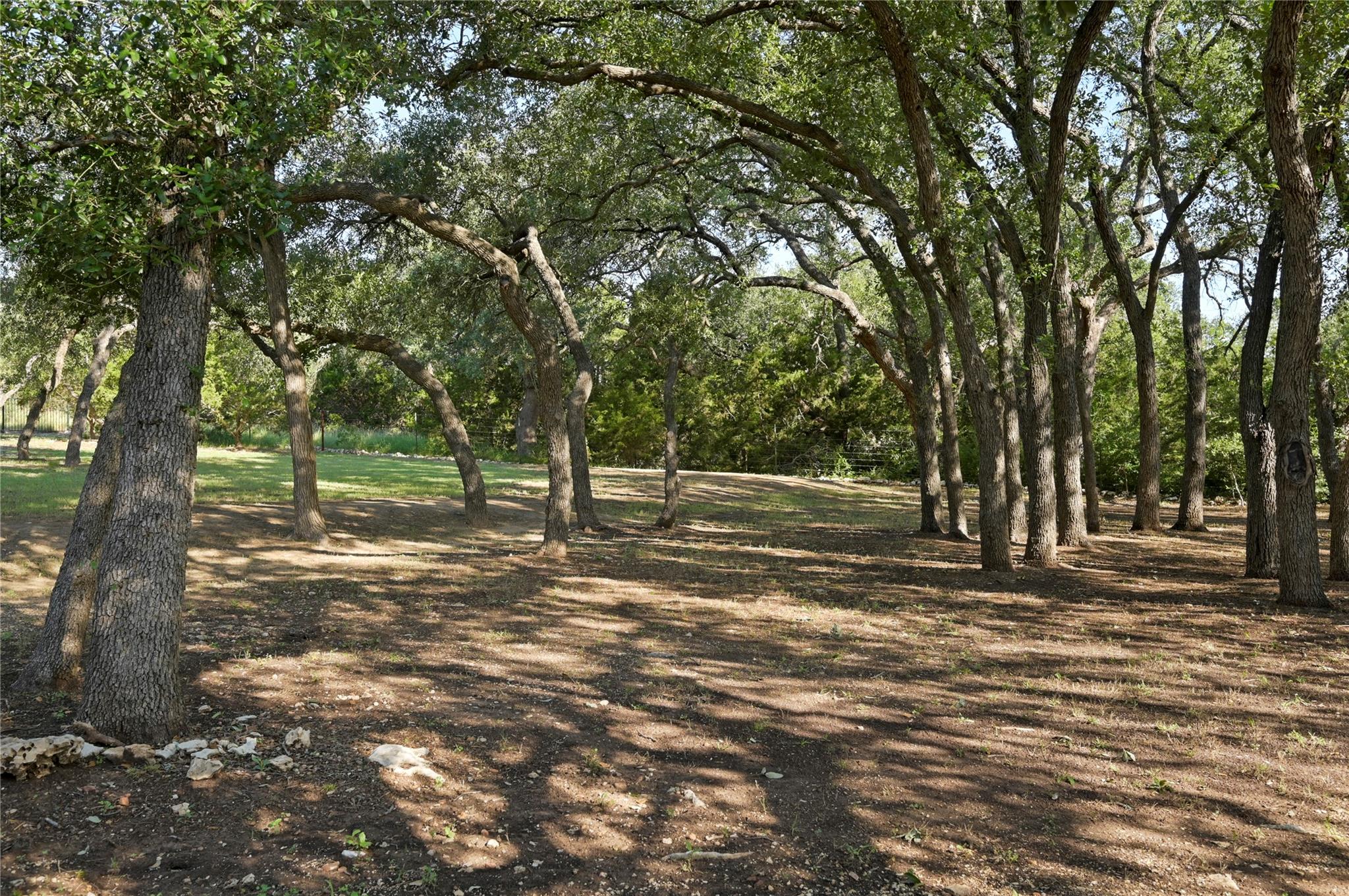 513 Somerset Woods CT