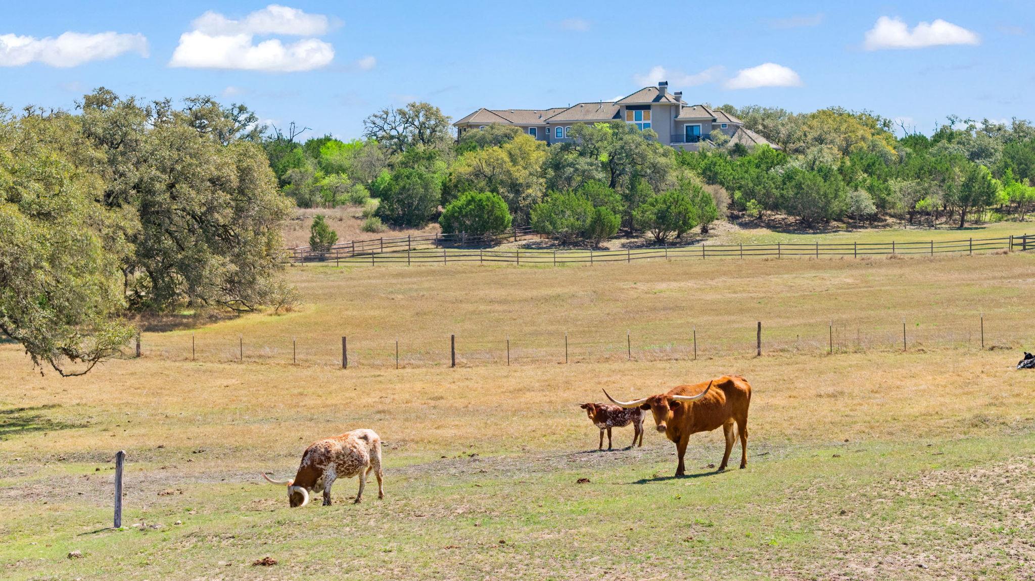 2180 La Ventana PKWY