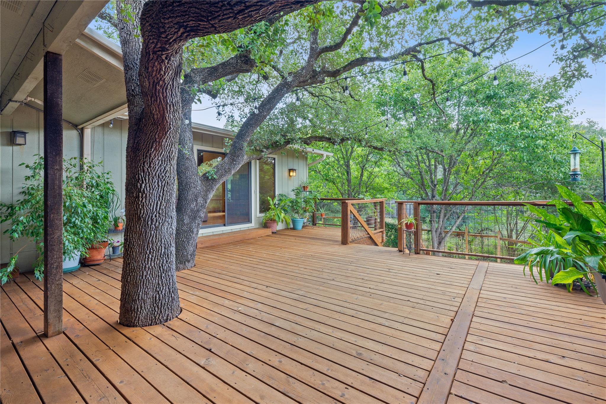 1909 Cypress PT E