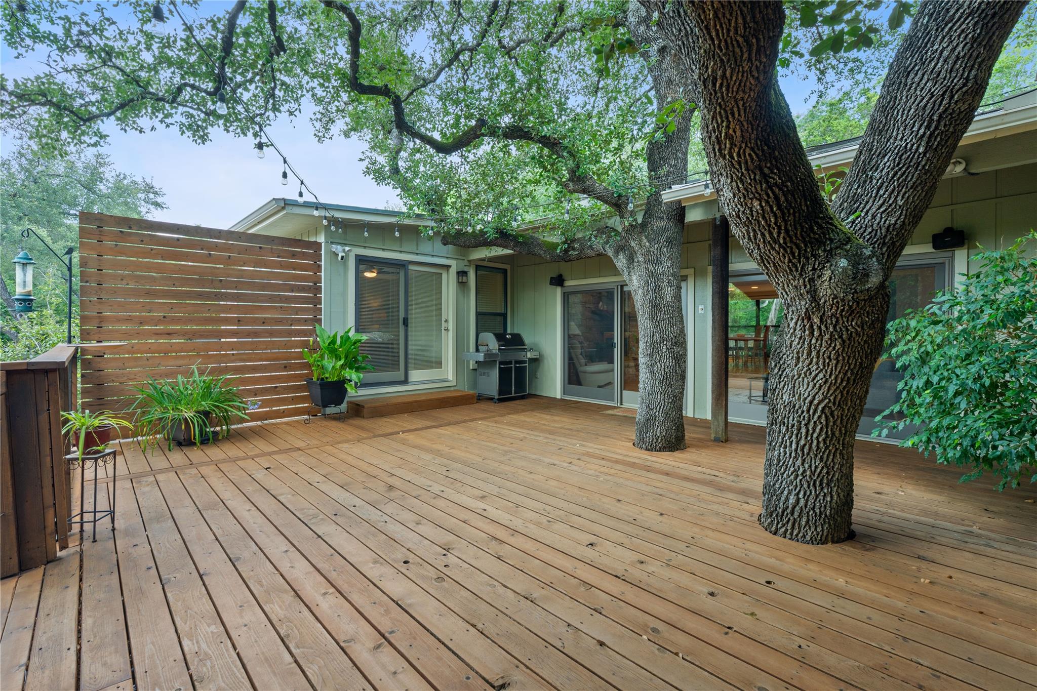 1909 Cypress PT E