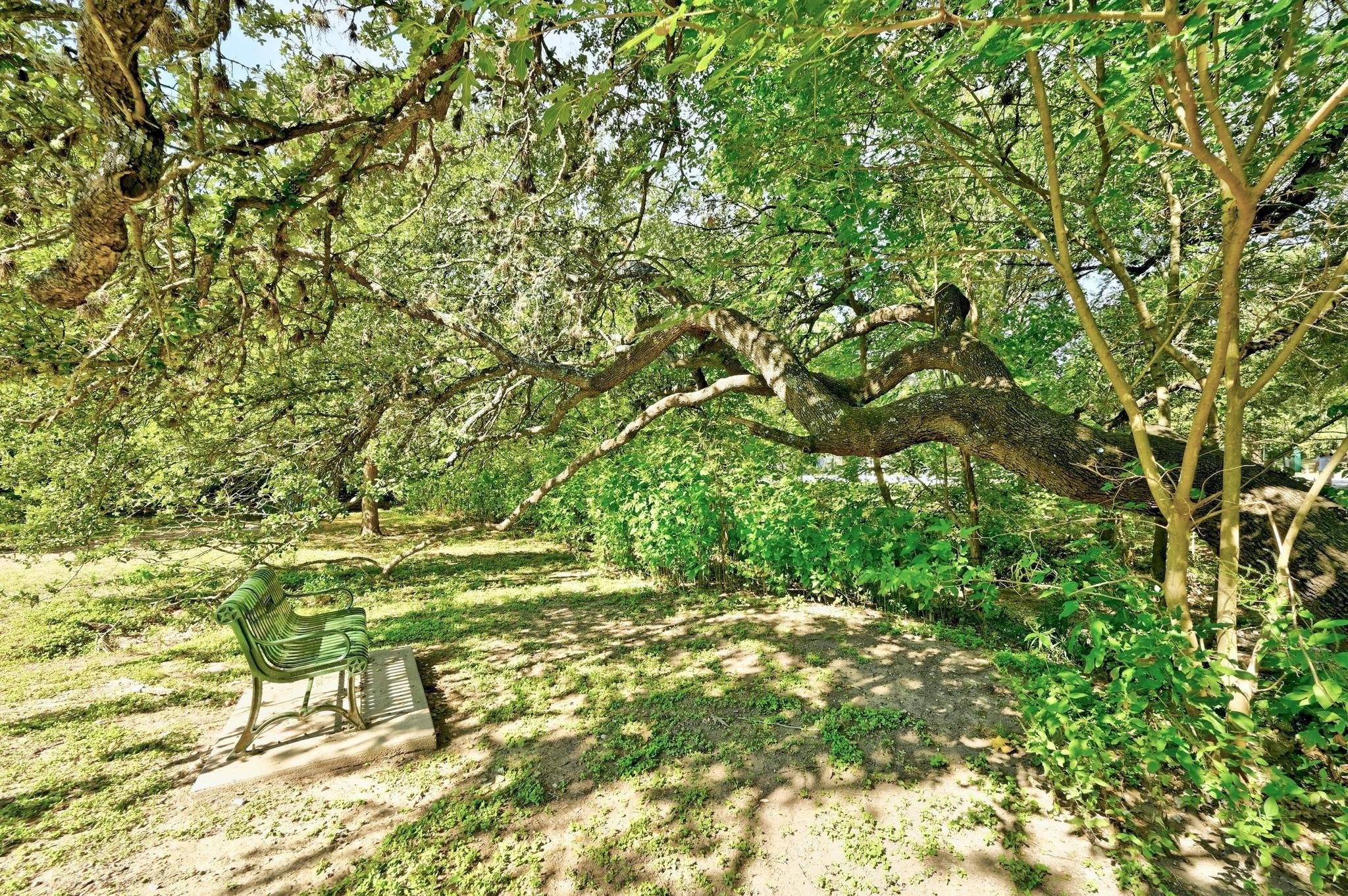 2716 Hillview Green LN