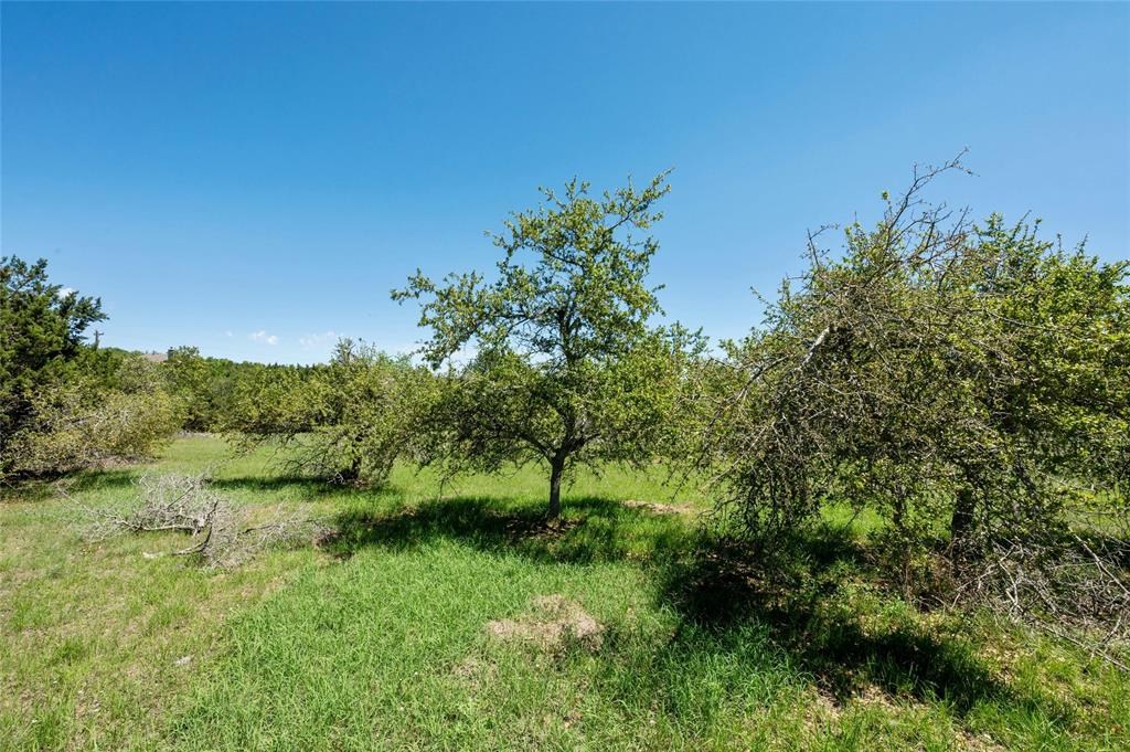 32690 Ranch Road 12 RD