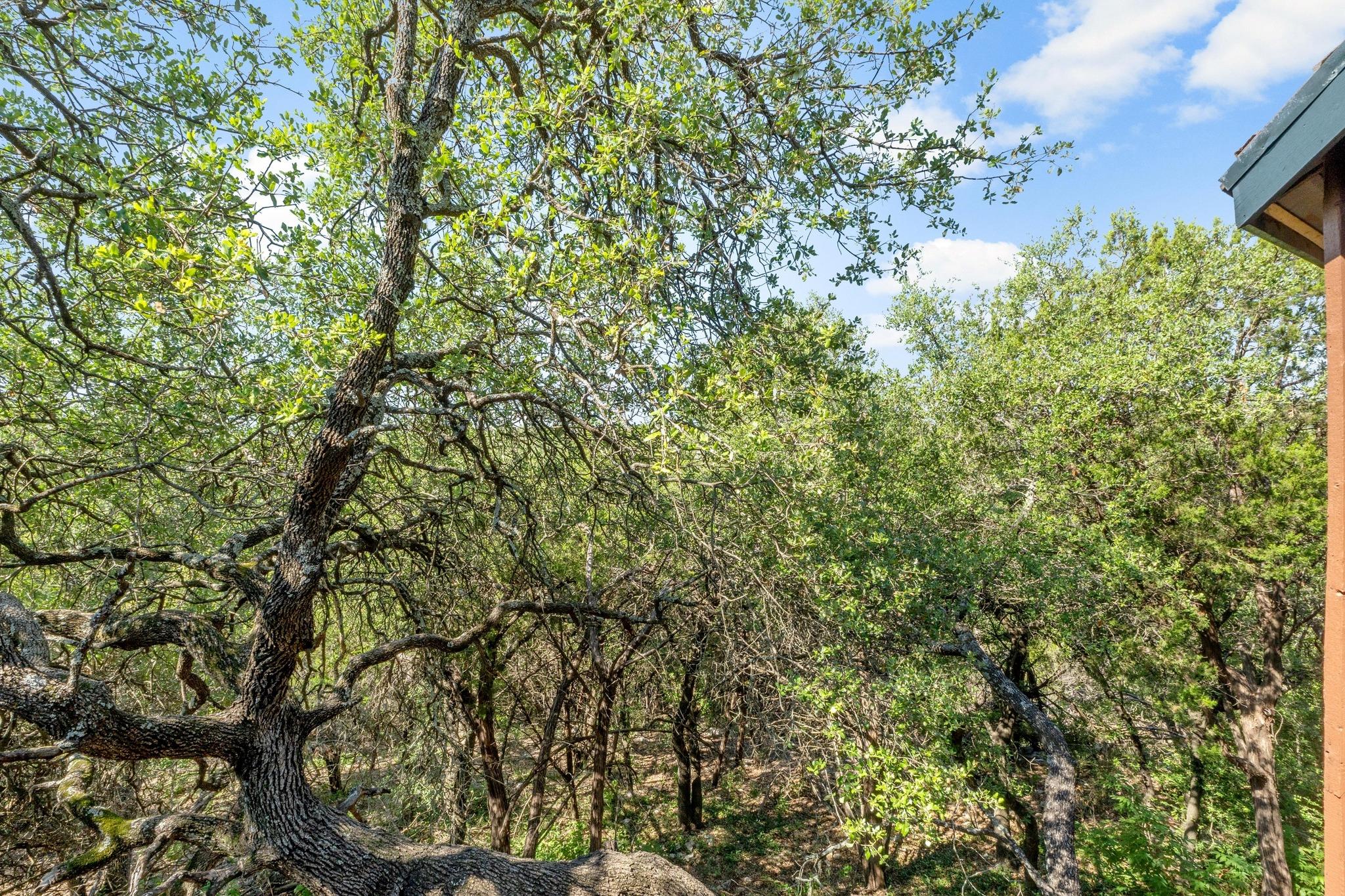 4711 Spicewood Springs RD # 226 Unit: 5-226