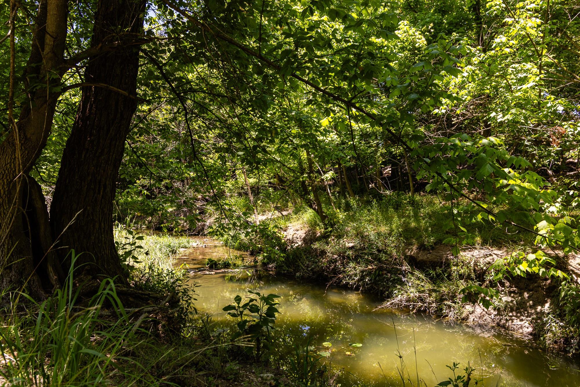 951 Cypress Creek RD