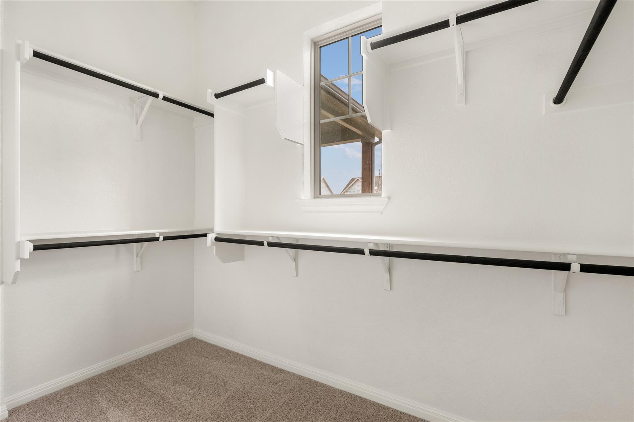 376 Sage Thrasher CIR