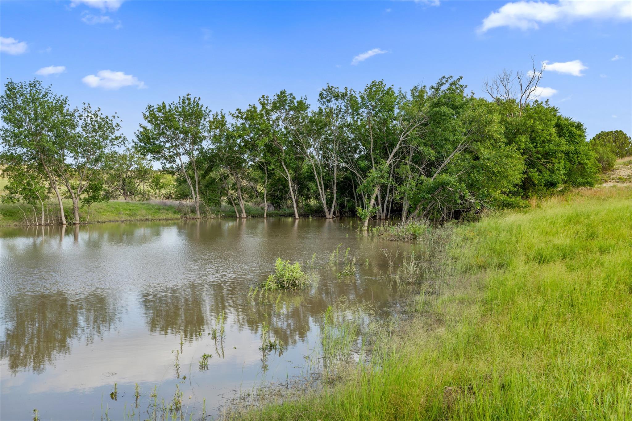 TBD County Road 207
