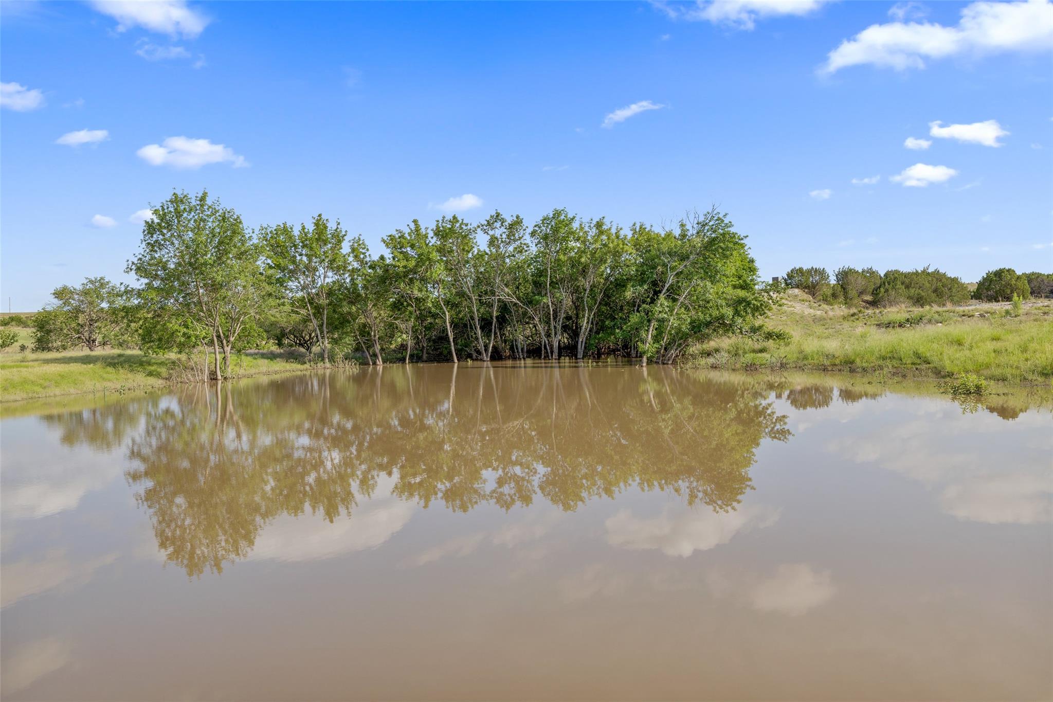 TBD County Road 207