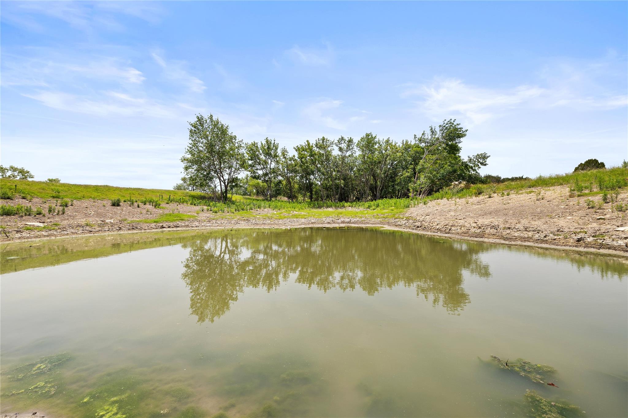 TBD County Road 207