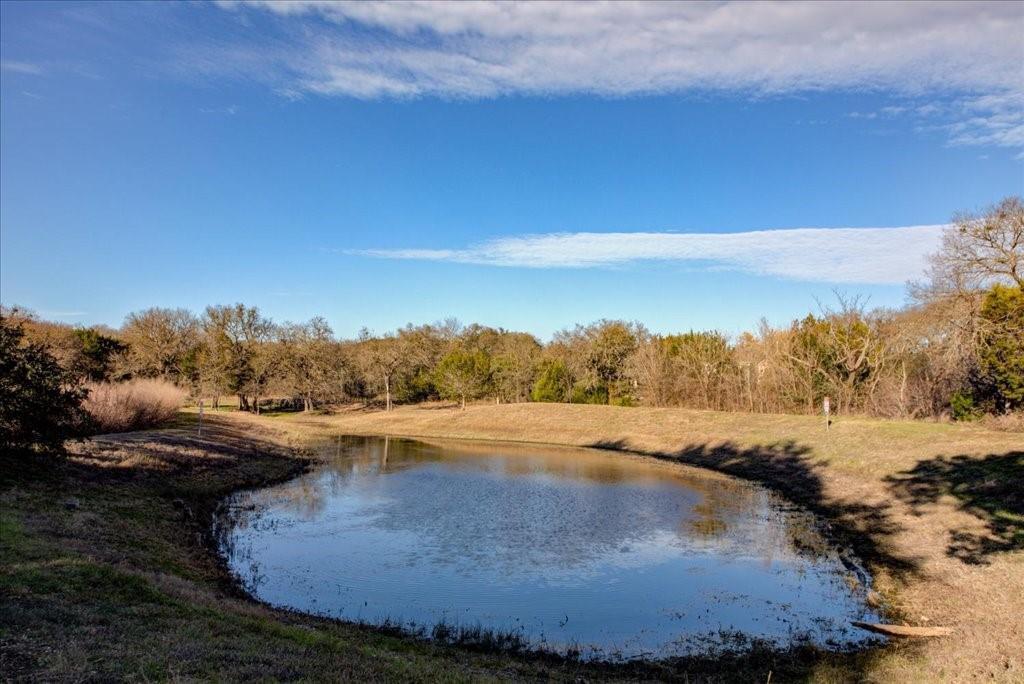 12212 Tawny Farms RD # 142