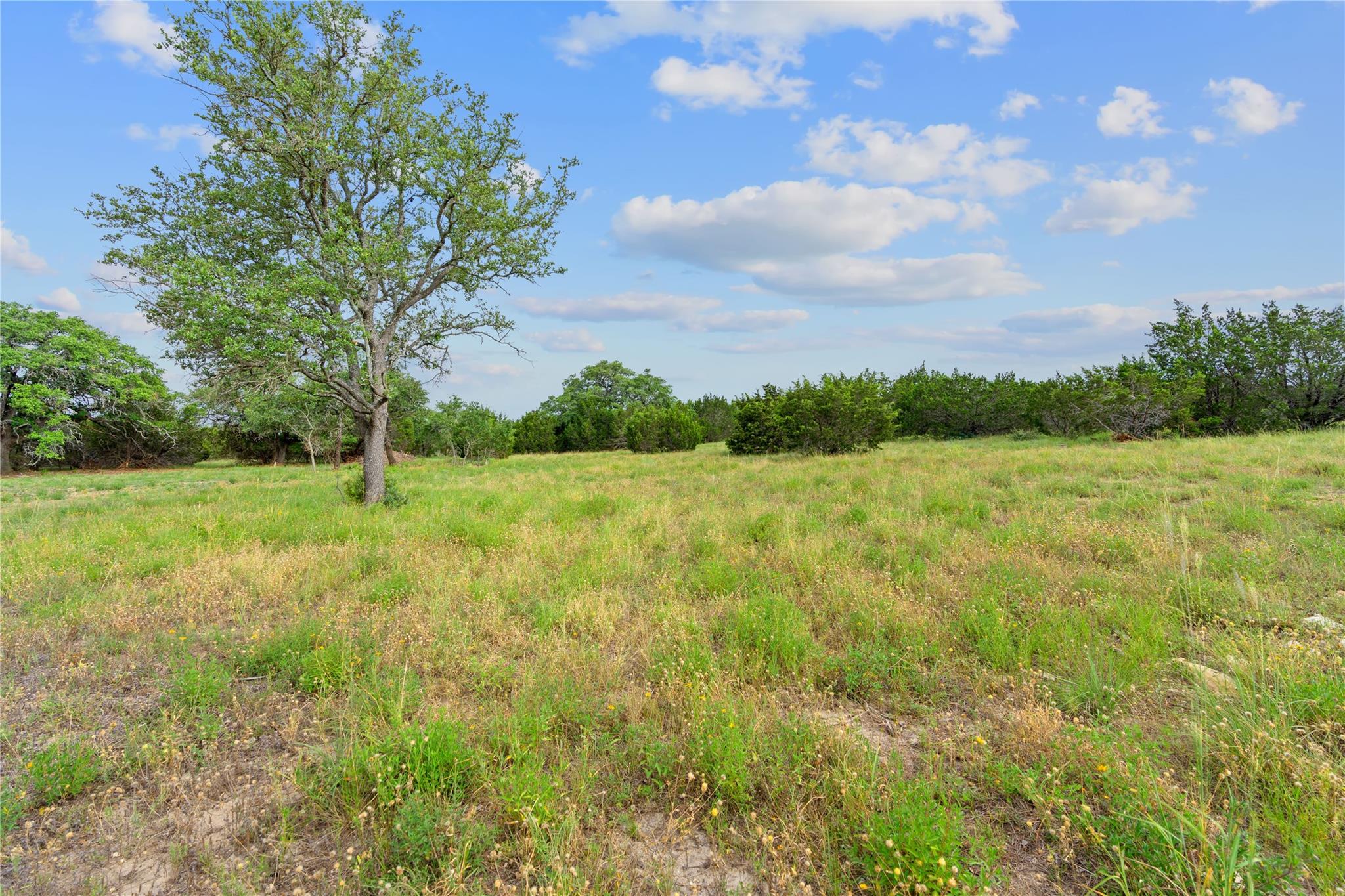 11288 S FM 1174