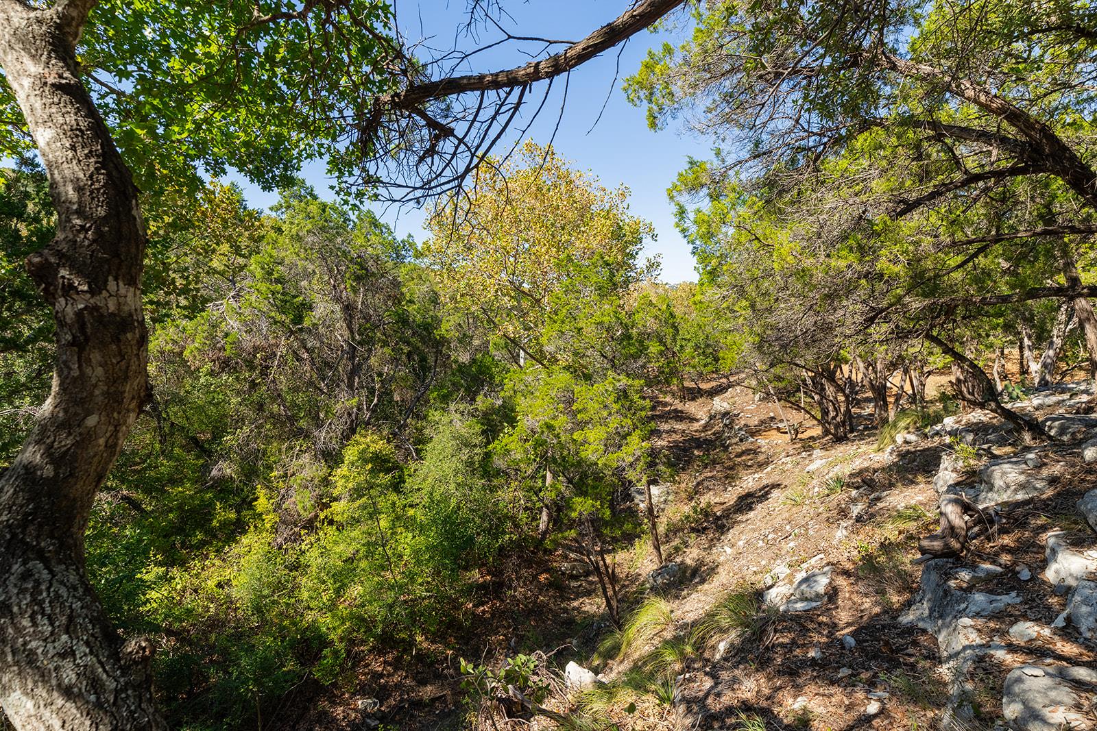 1420 Wild Basin Ledge LDG