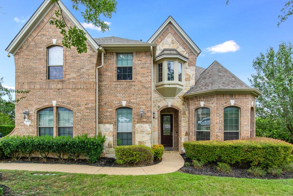 10700 Spiderling CT