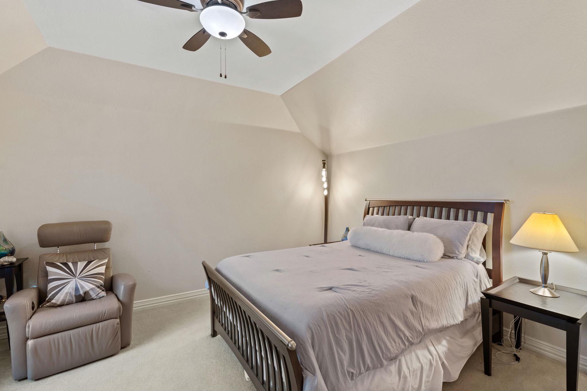 10700 Spiderling CT