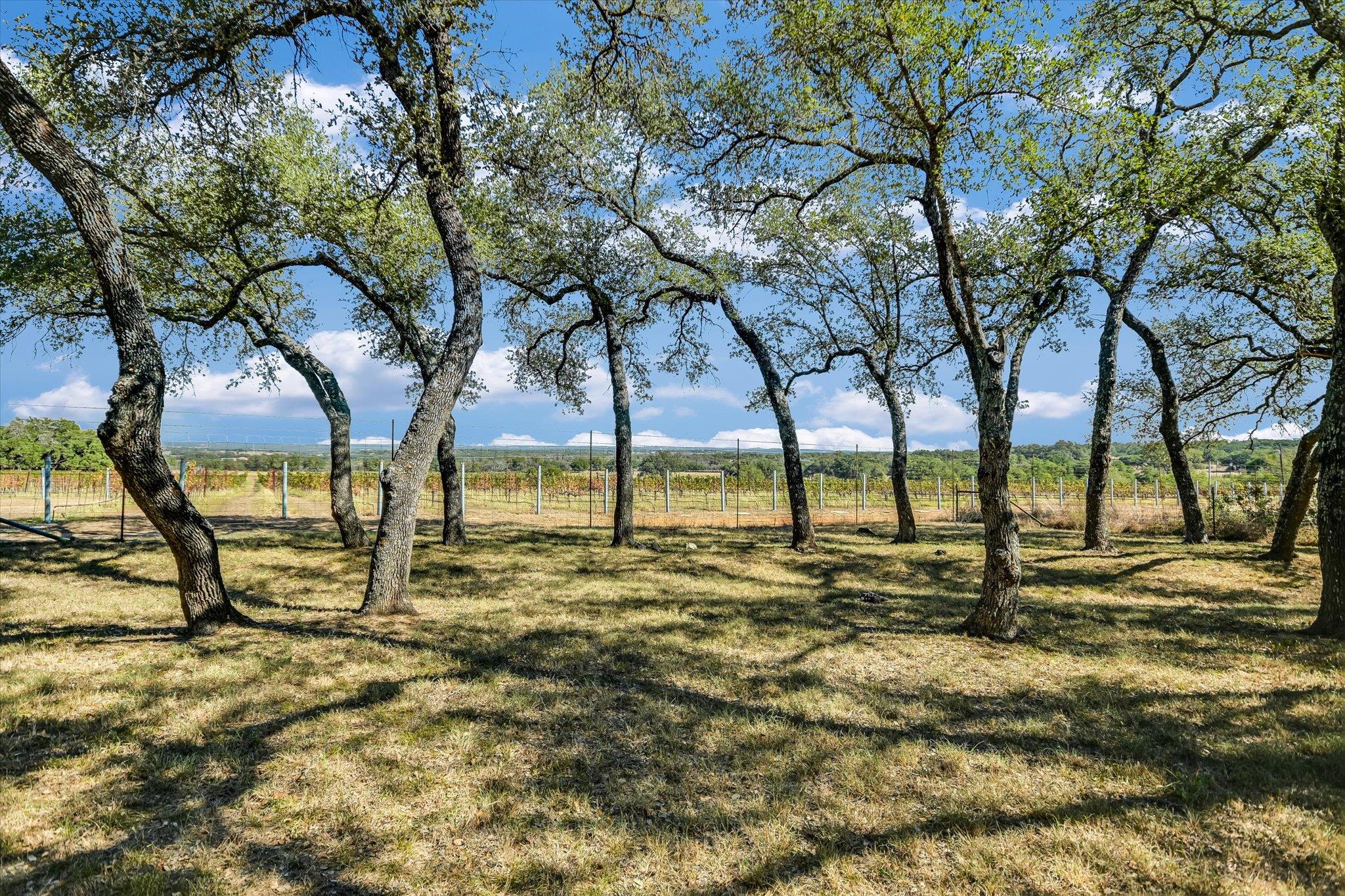 878 Ranch Road 2766