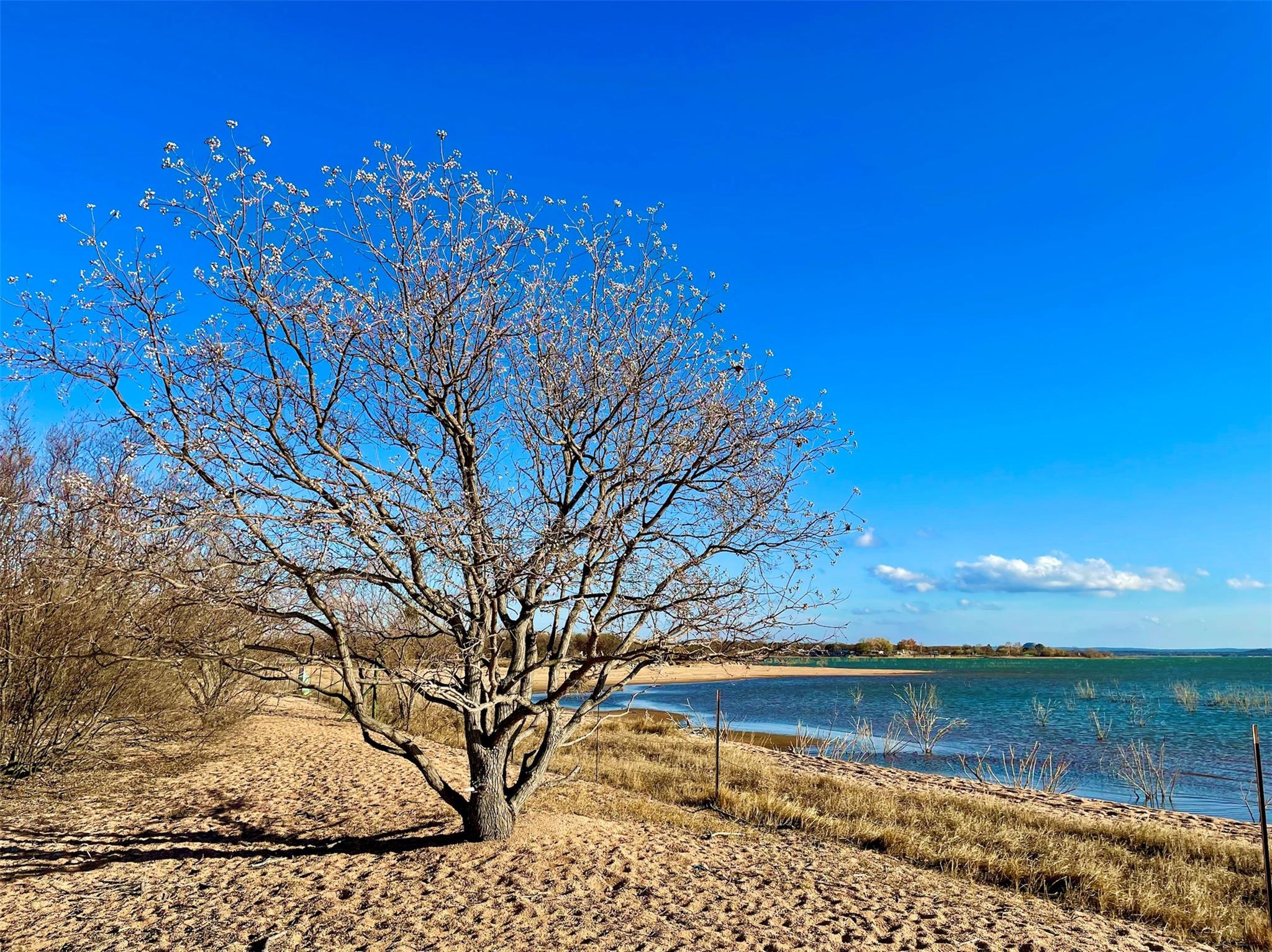 0 COUNTY ROAD 225 / Shaw Island RD