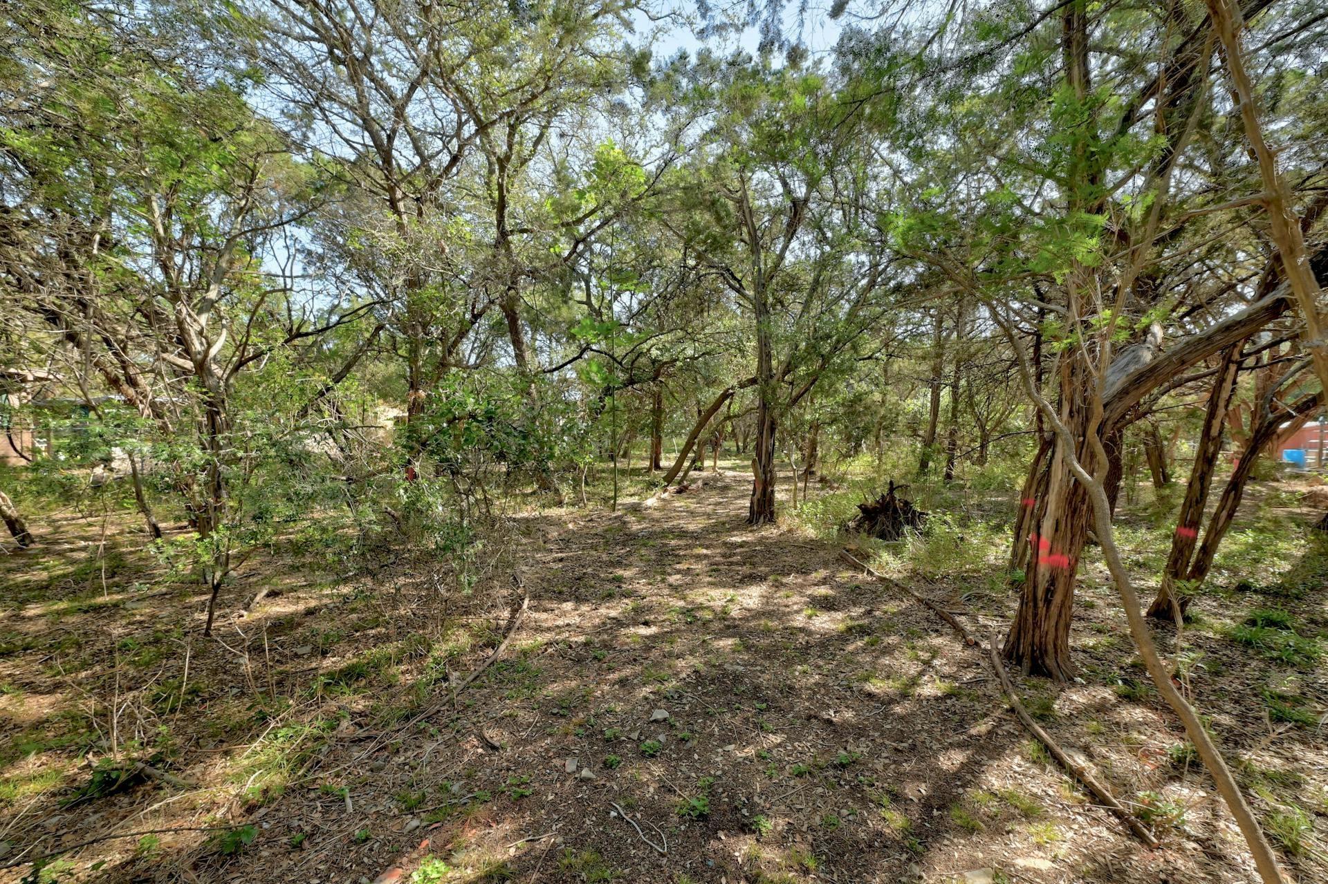 000 Ridgetop TER